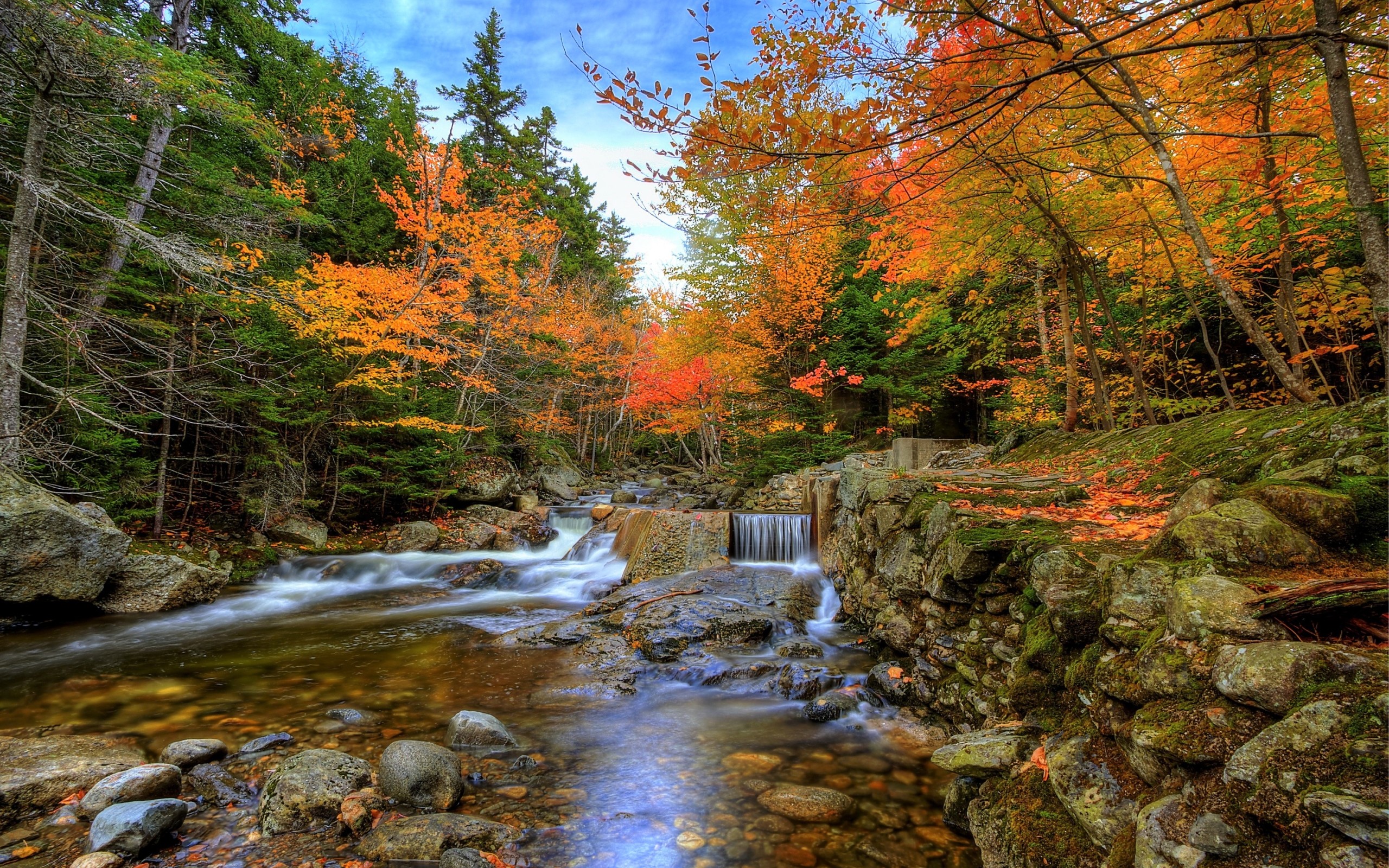 2560x1600 HD Wallpaper Earth, Fall, Foliage, Forest, Waterfall