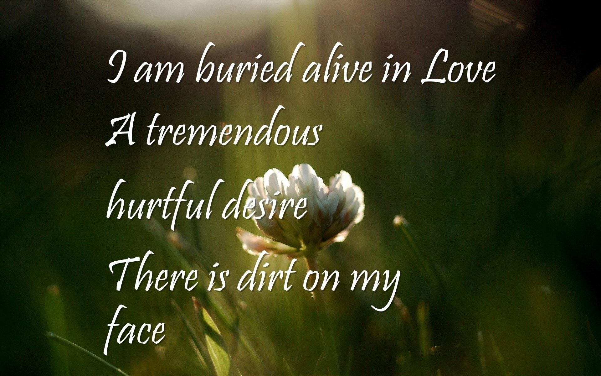 1920x1200 Quotes About True Love Hurts Love Hurts, True Love Quotes Wallpapers – I Am  Buried