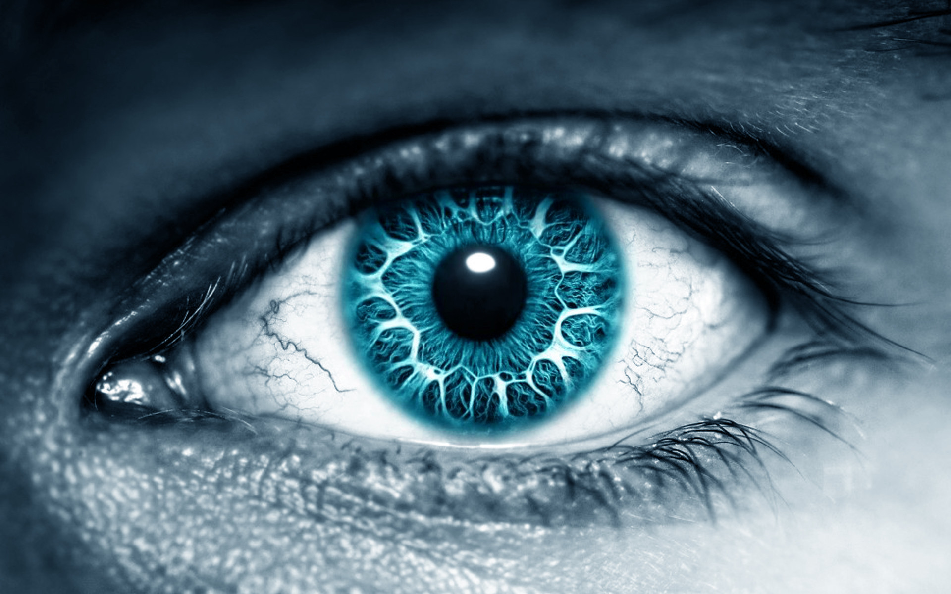 1920x1200 Tags:  Blue Eyes Eyes