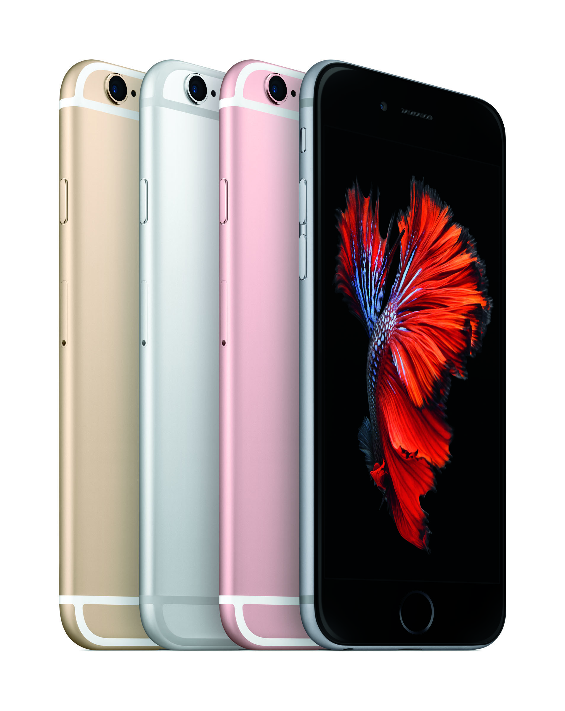1908x2400 iPhone6s-4Color-RedFish-PR-PRINT