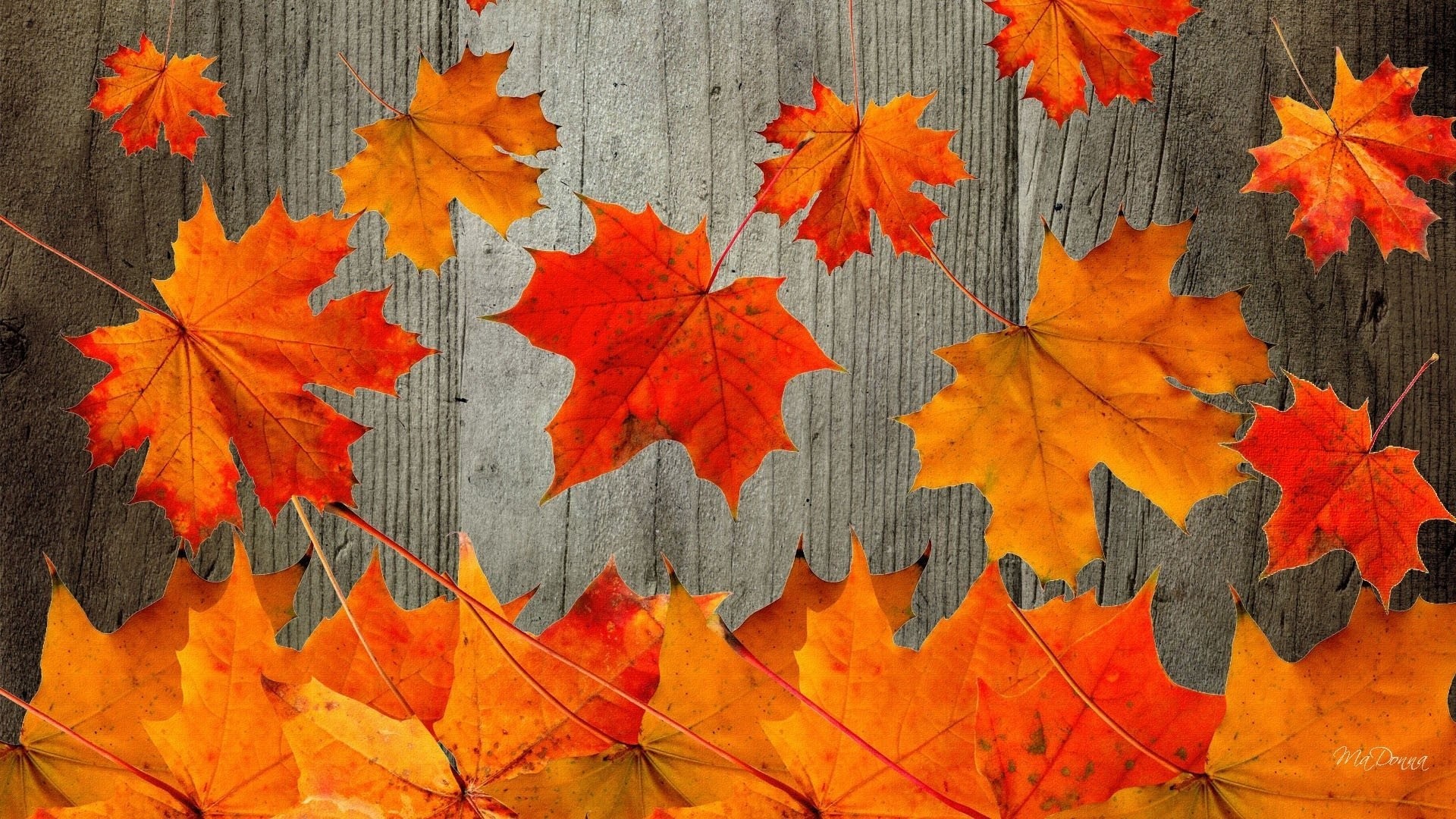 1920x1080 1242x2208 iPhone 6 Plus Fall Road Mountain Autumn Wallpaper