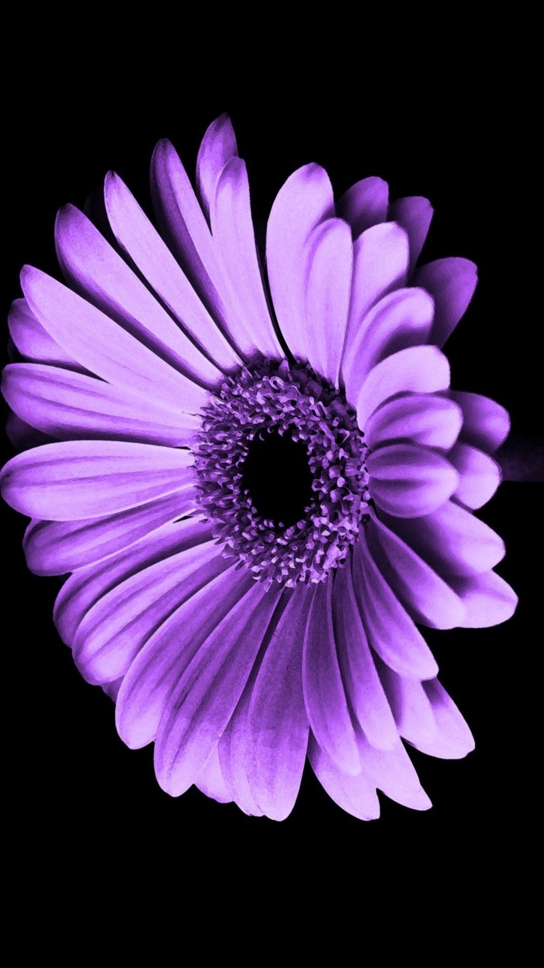 beautiful purple flower wallpapers for desktop