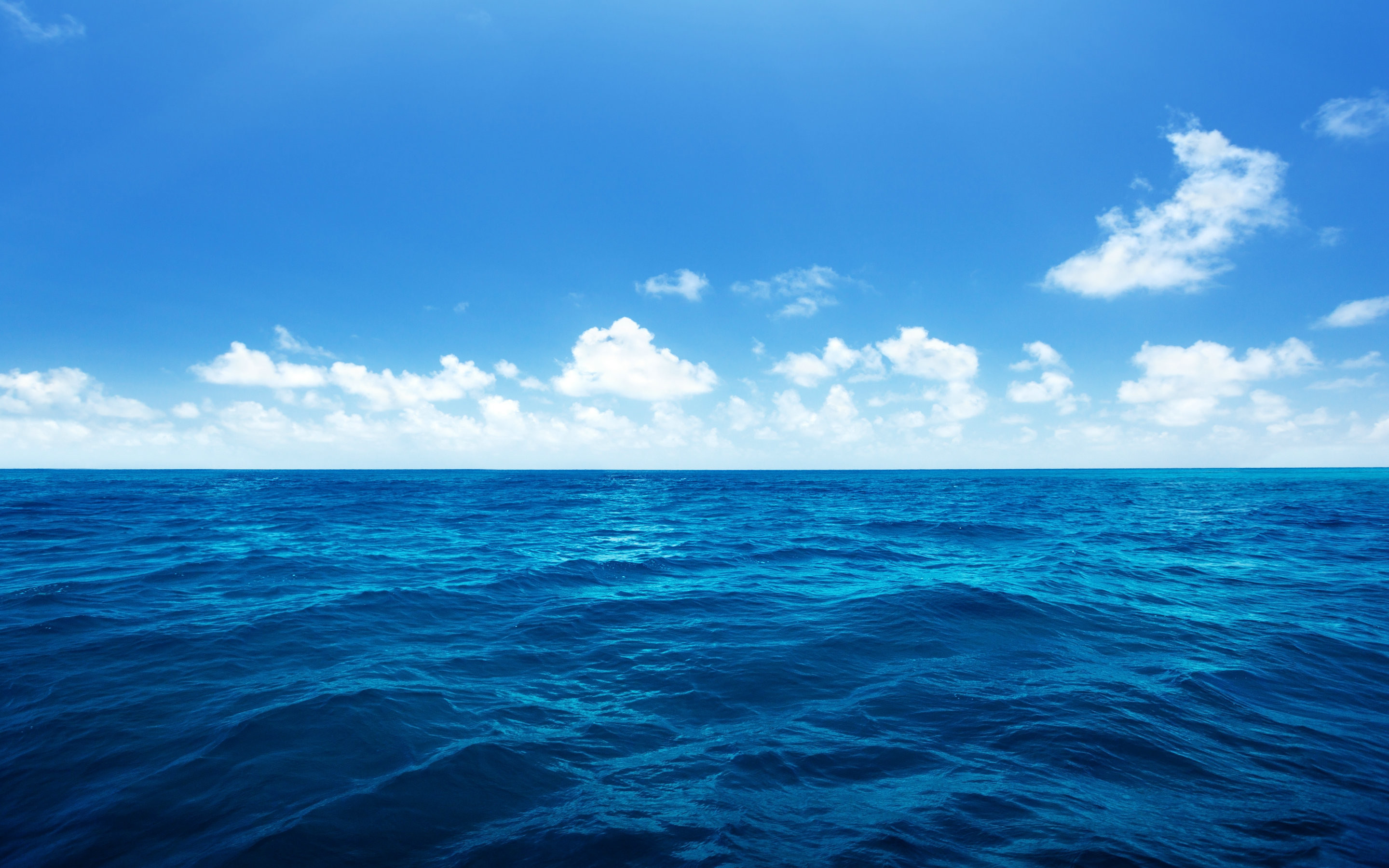 2880x1800 Sea Facts NewsRead.in - HD Wallpapers