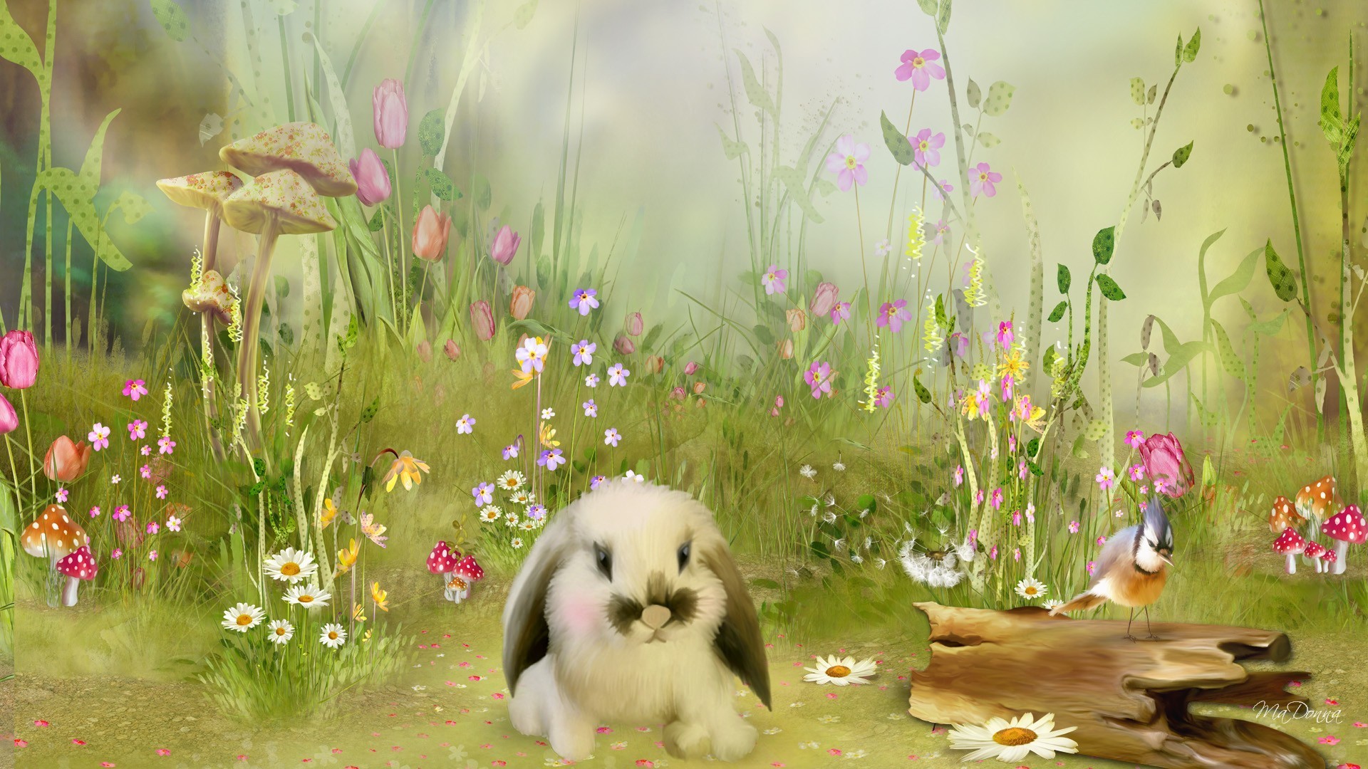 1920x1080 Download Wild Bunny Nature Meditate Sky Soft Flowers Peace Easter Spring  Toadstools Daisies Log Peaceful Grass Harmony Serene Fleurs Light Mishrooms  Bird ...