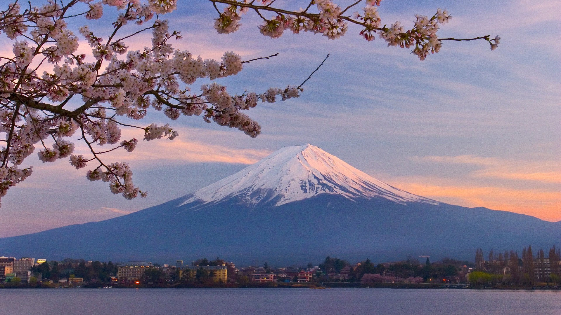 1920x1080 Mount Fuji Cherry Blossom Wallpaper