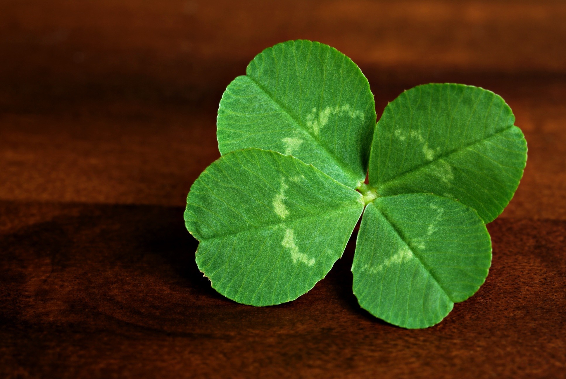 1936x1296 A four-leaf clover is easier to find than you think. You just need