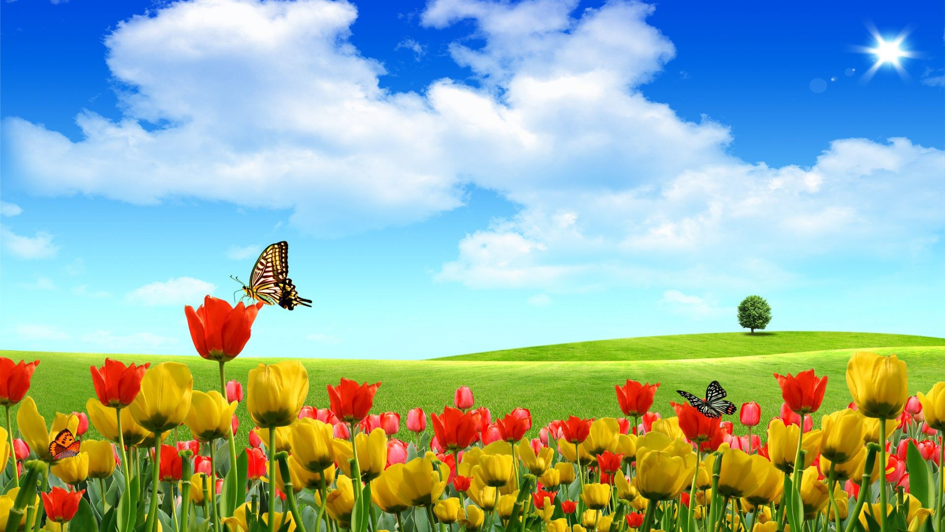 1920x1080 Free Scenery Wallpaper – Includes Beautiful Buds, Boasting of Its Natural  Scene!