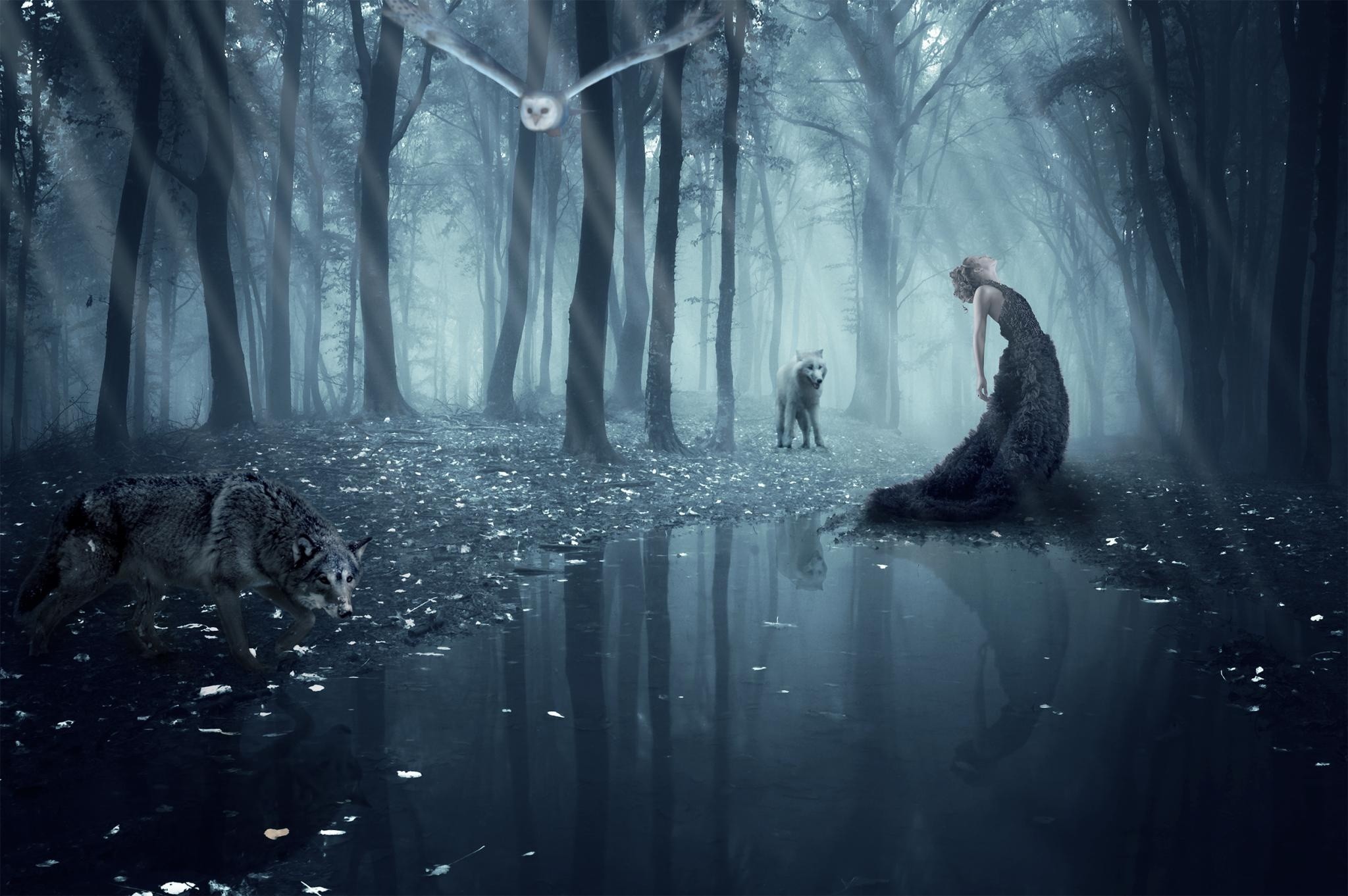 2048x1362 girl wolf owl forest wolves gothic goth loli mood wallpaper background  