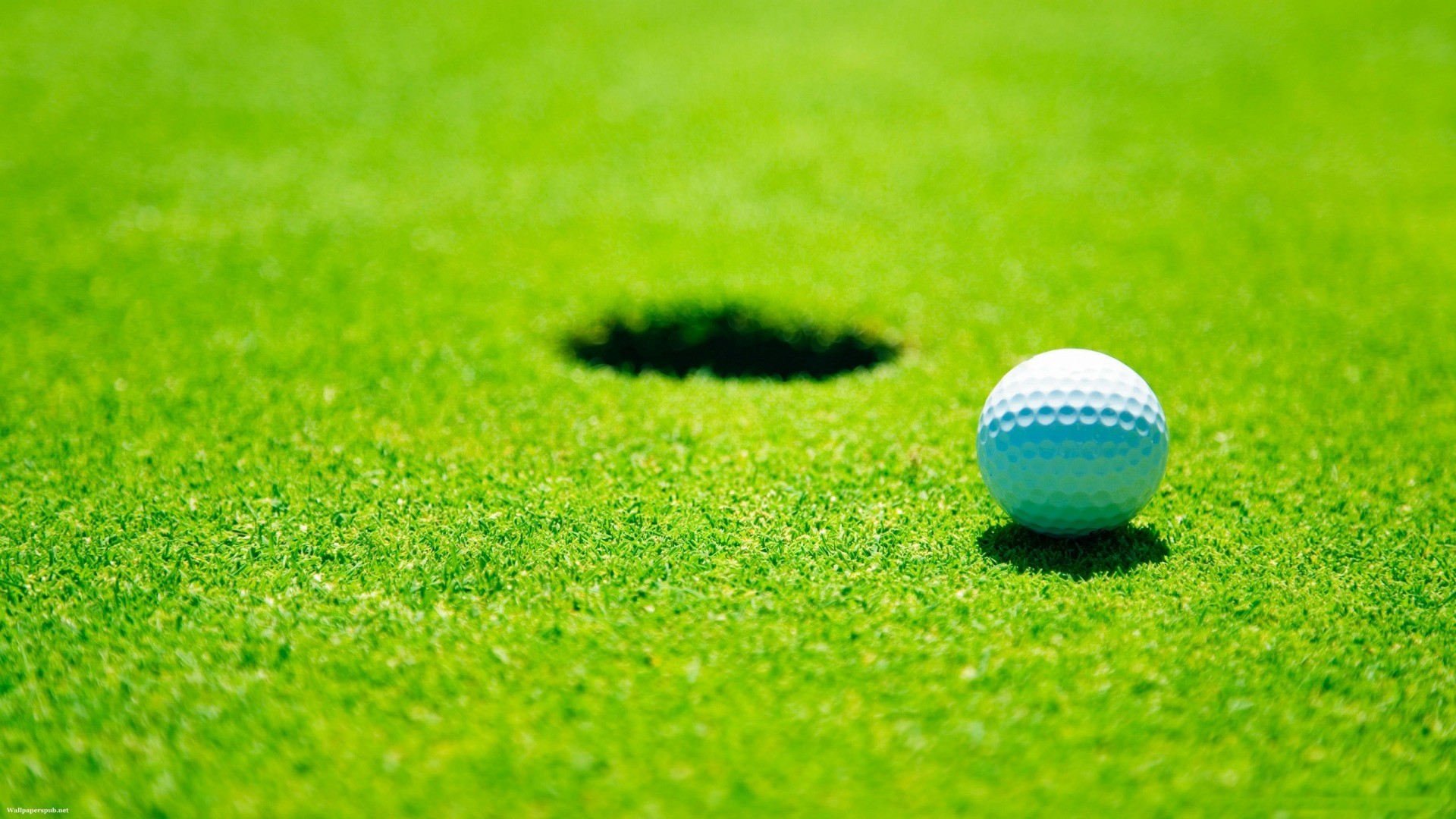 1920x1080 golf course and hole wallpapers  hd golf