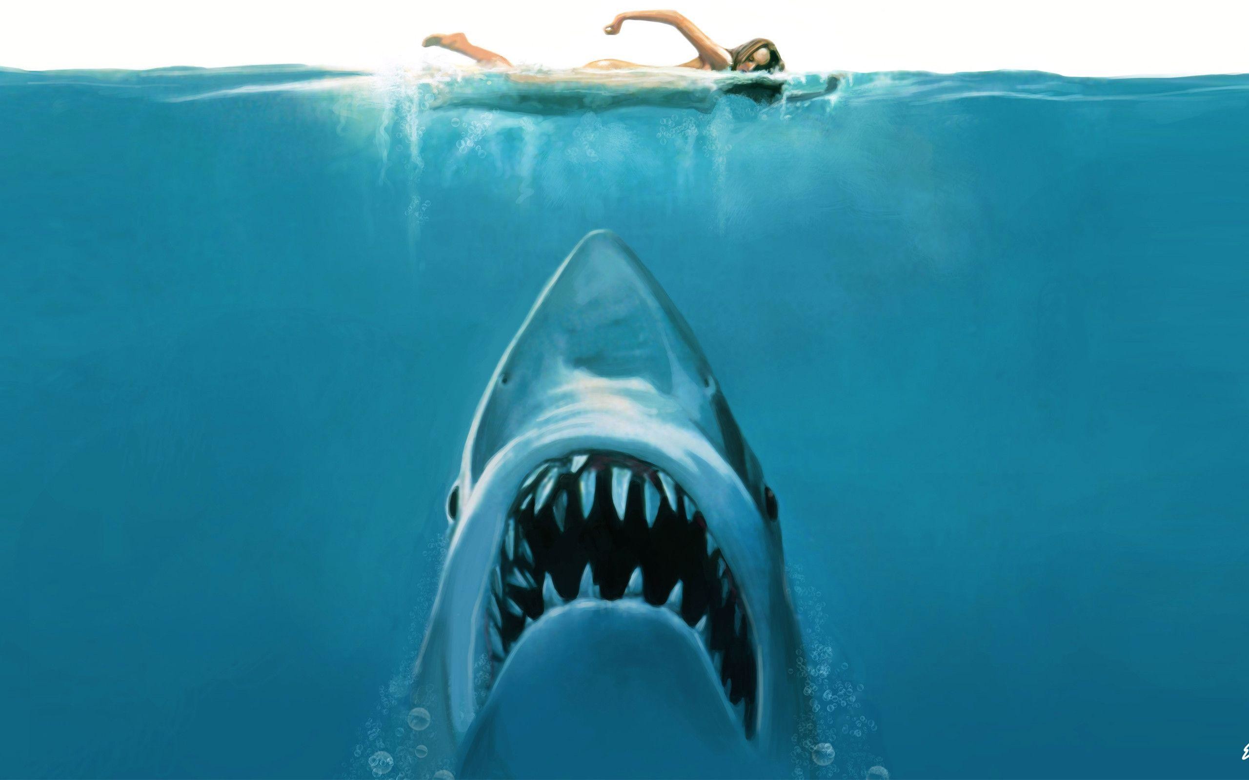 2560x1600 5 Jaws Wallpapers | Jaws Backgrounds