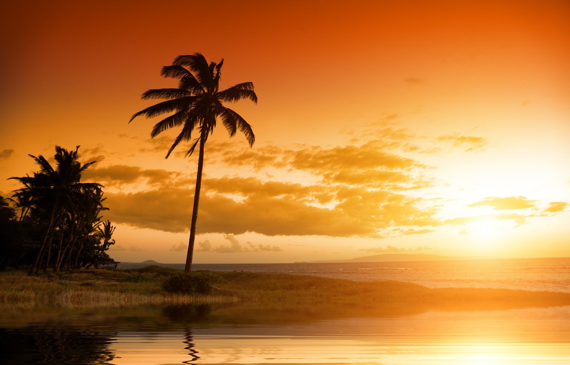1920x1230 beautiful scenery sunset nature landscape sky clouds tropical palm tree  ocean hawaii sunset landscape tropical palm