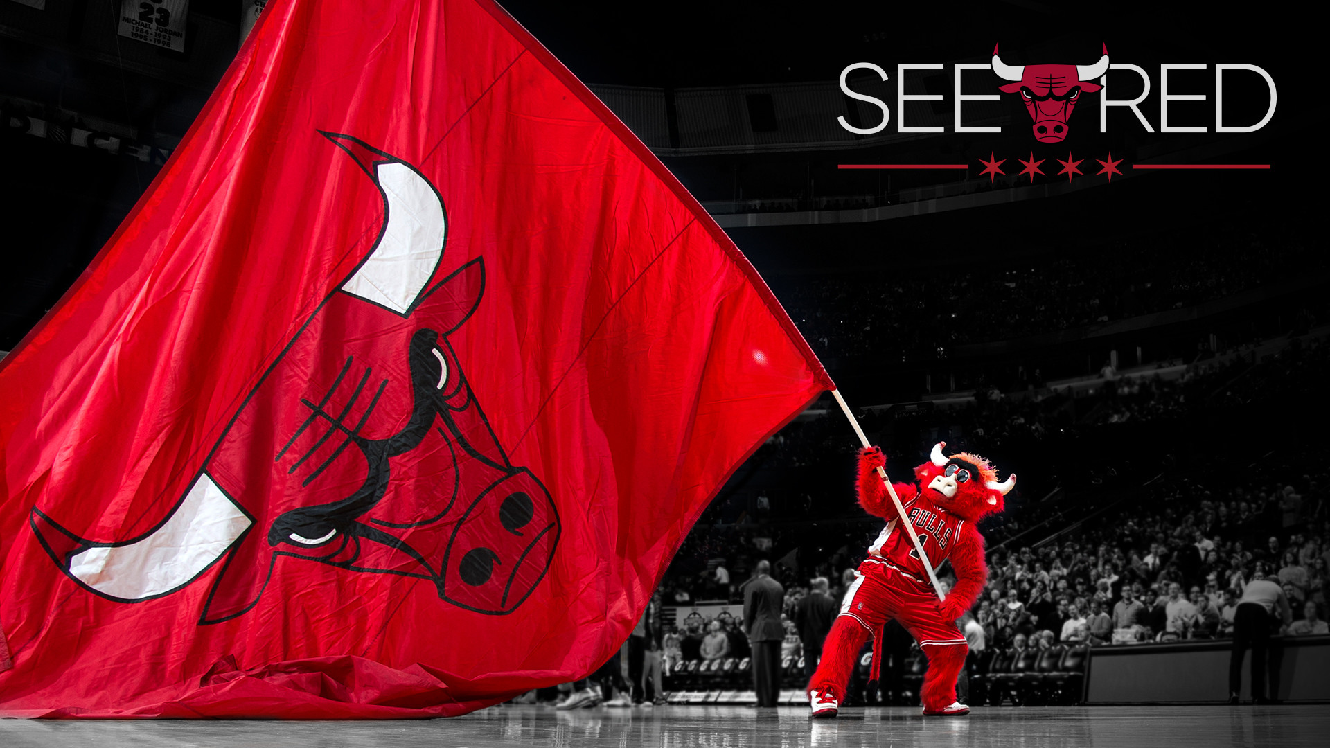 1920x1080 Chicago Bulls | 2014 NBA Playoffs | See Red