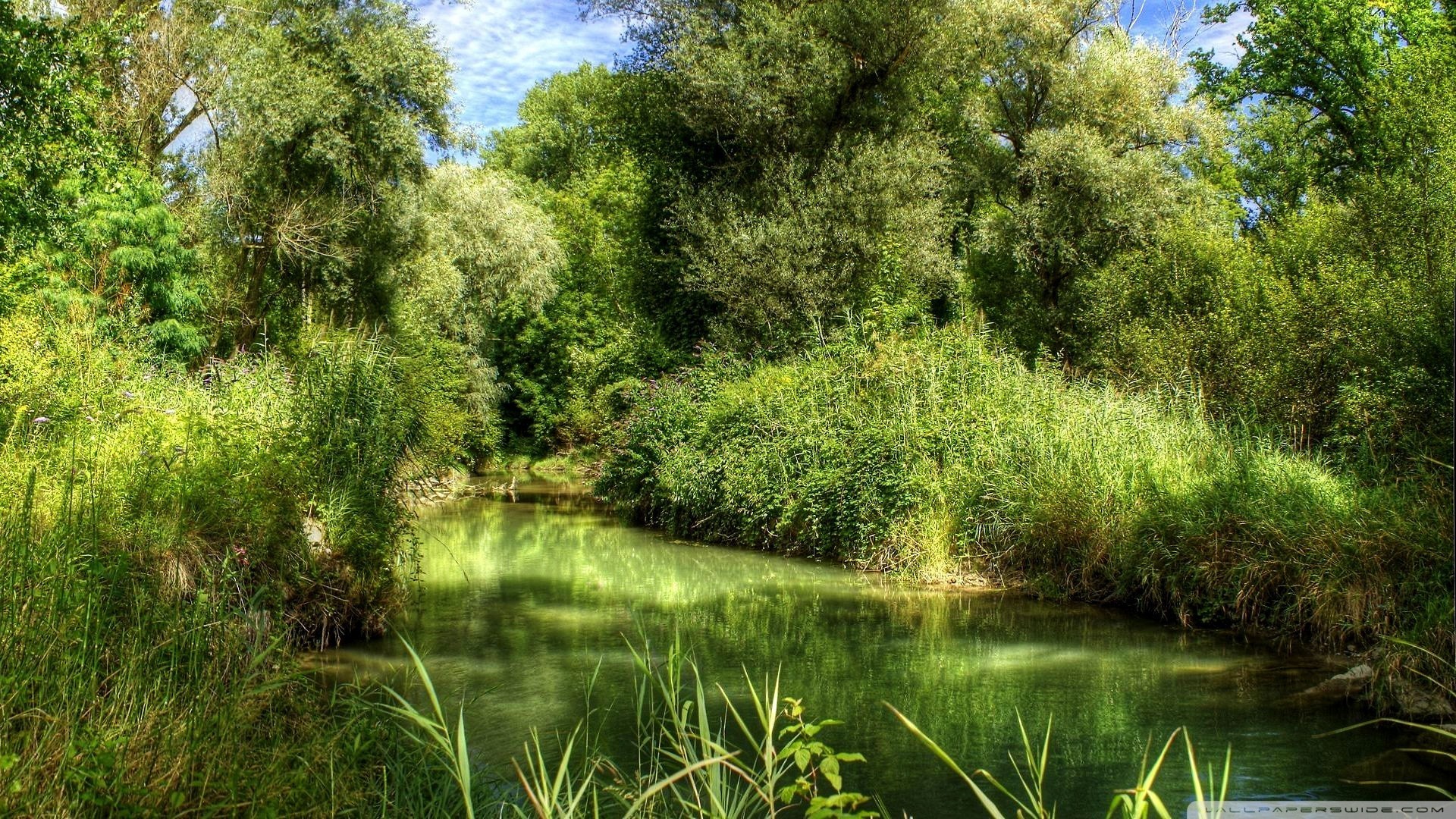 1920x1080 Green forest and river hdr wallpaper