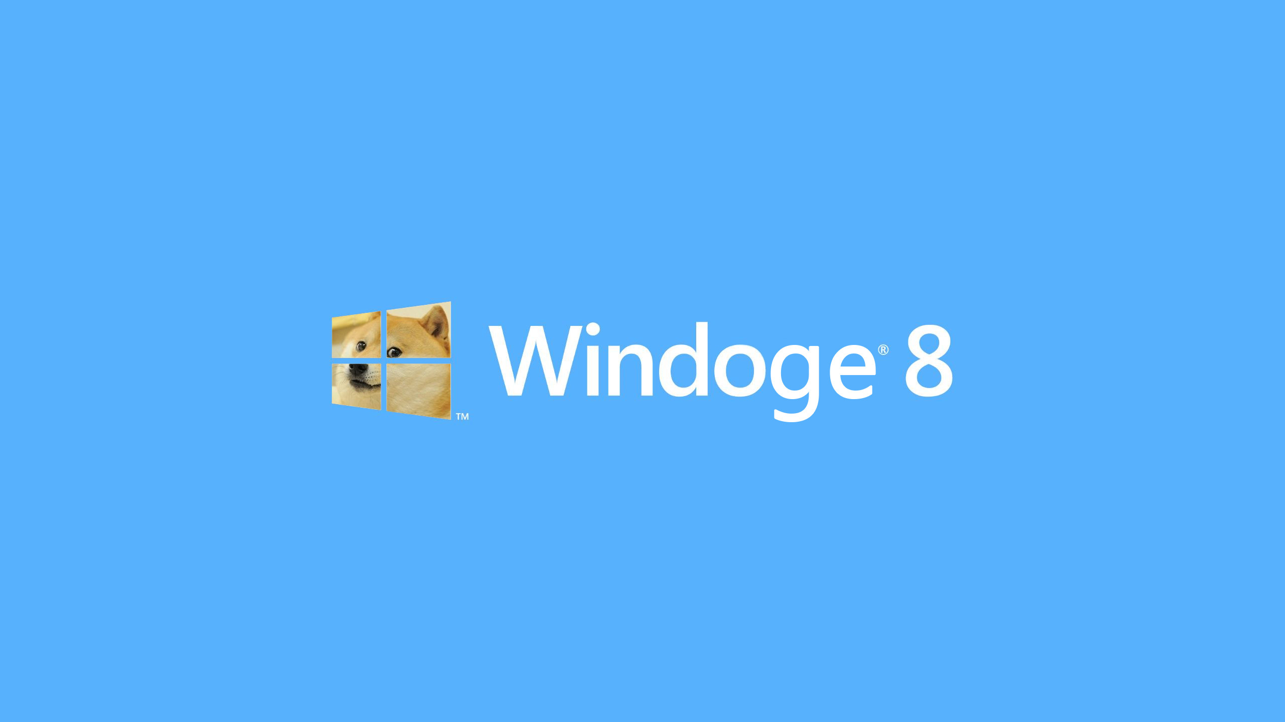 2560x1440 Cute Doge Simple Windows 8 Wallpapers HD 9