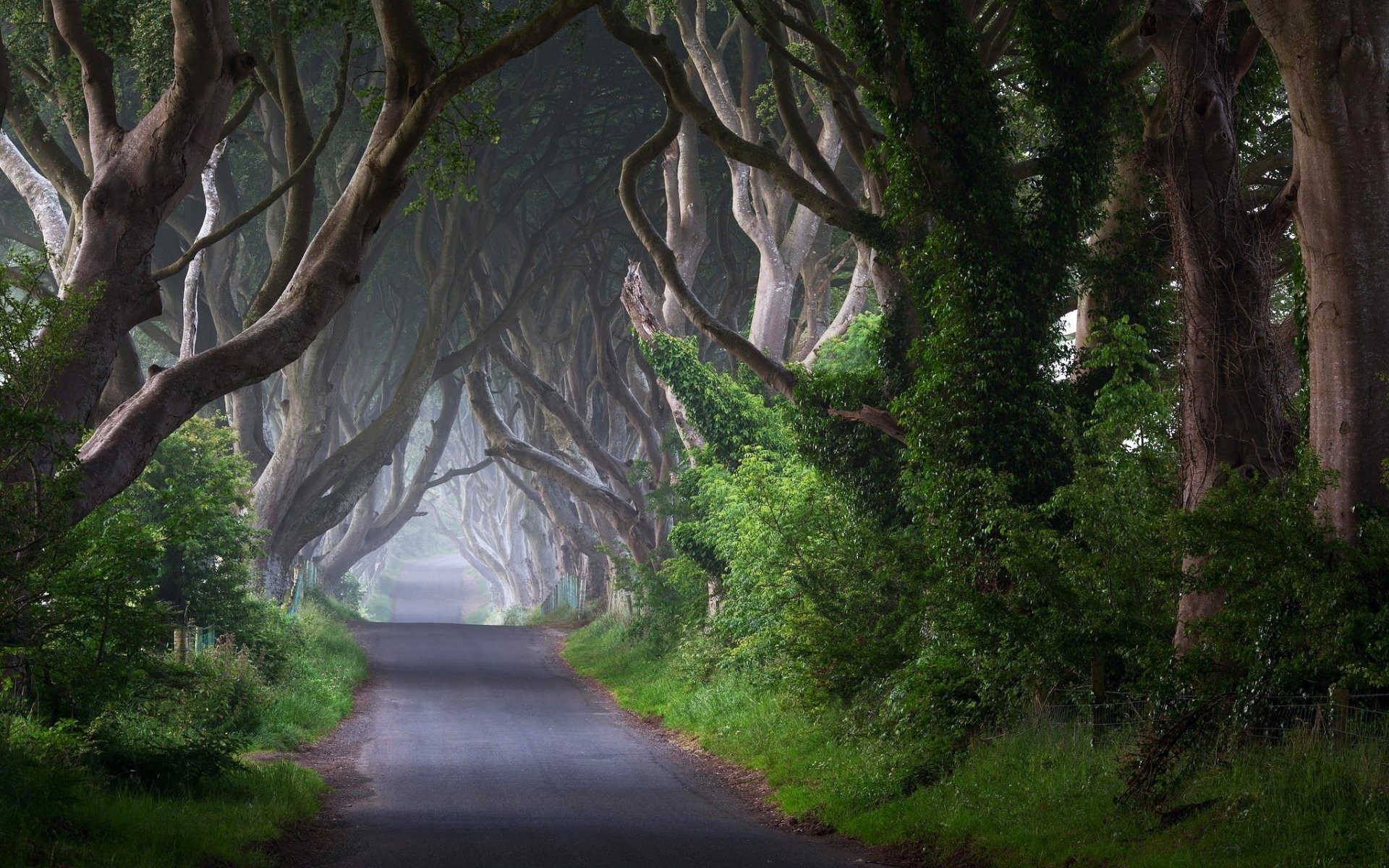 1920x1200 Pictures Of Ireland wallpapers (27 Wallpapers)
