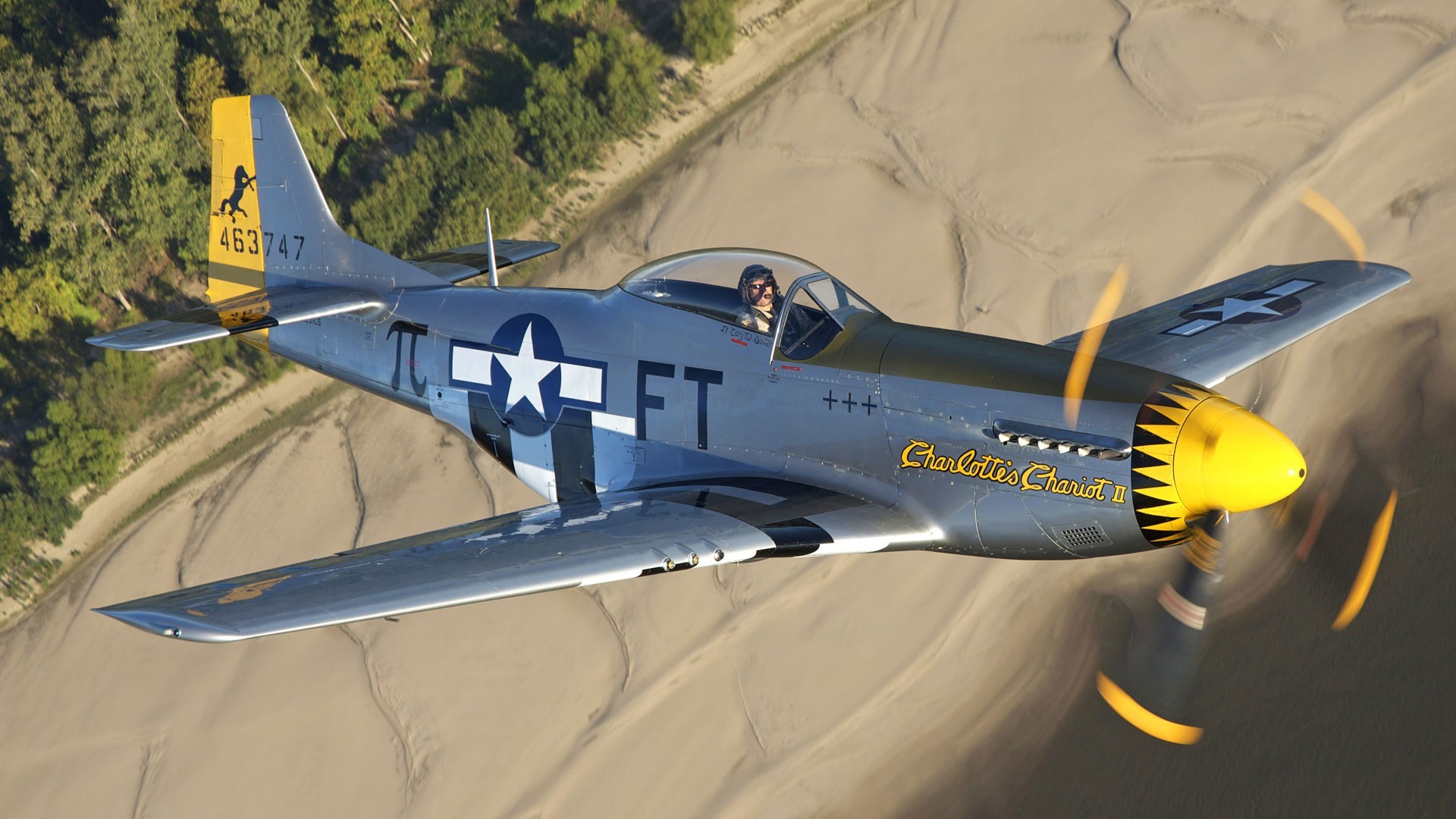 1920x1080 Warbirds P 51 Mustang FREE screenshot Source Â· Warbird Wallpaper   WallpaperSafari