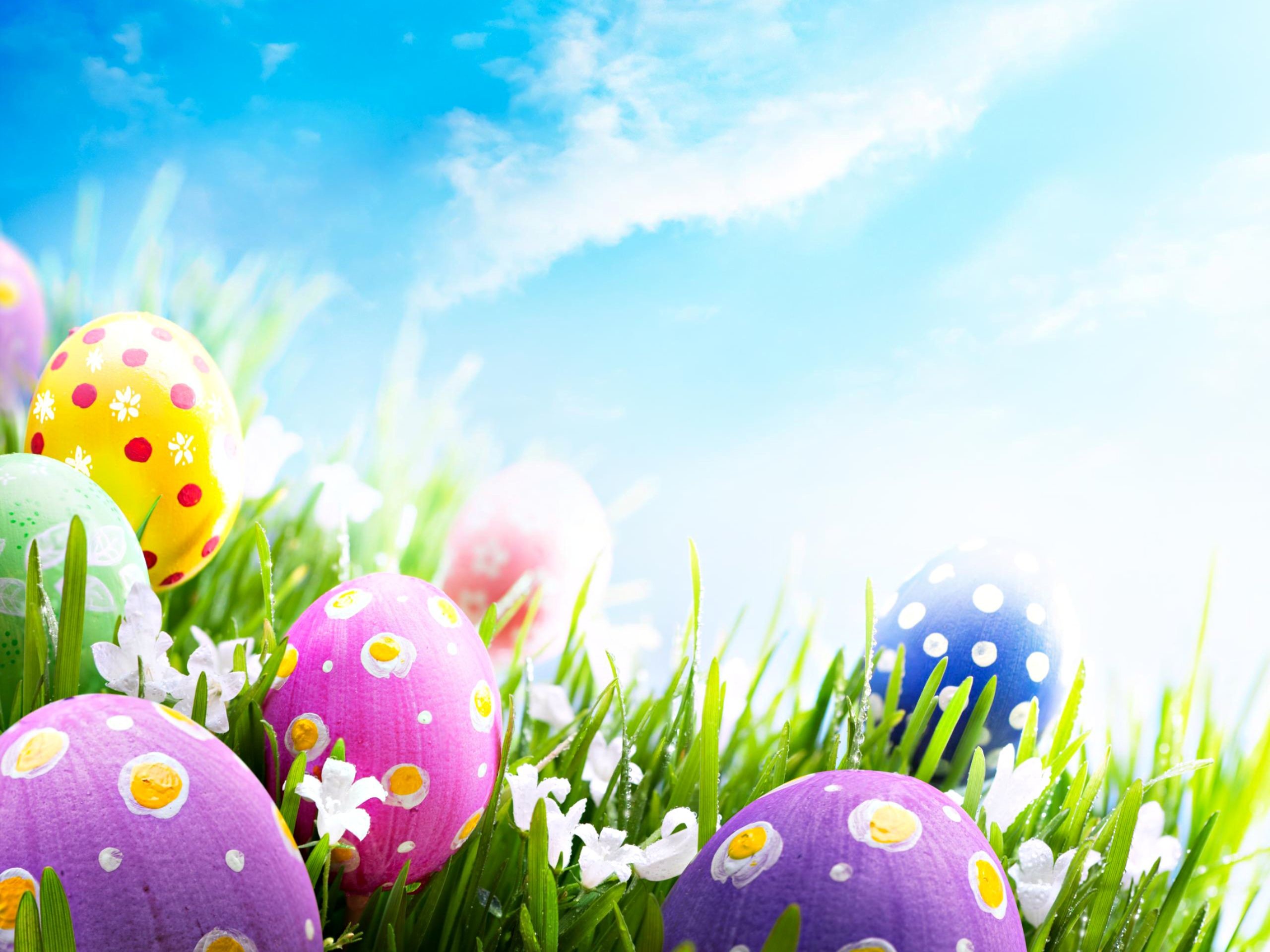 2560x1920 happy easter wallpaper - Free Large Images