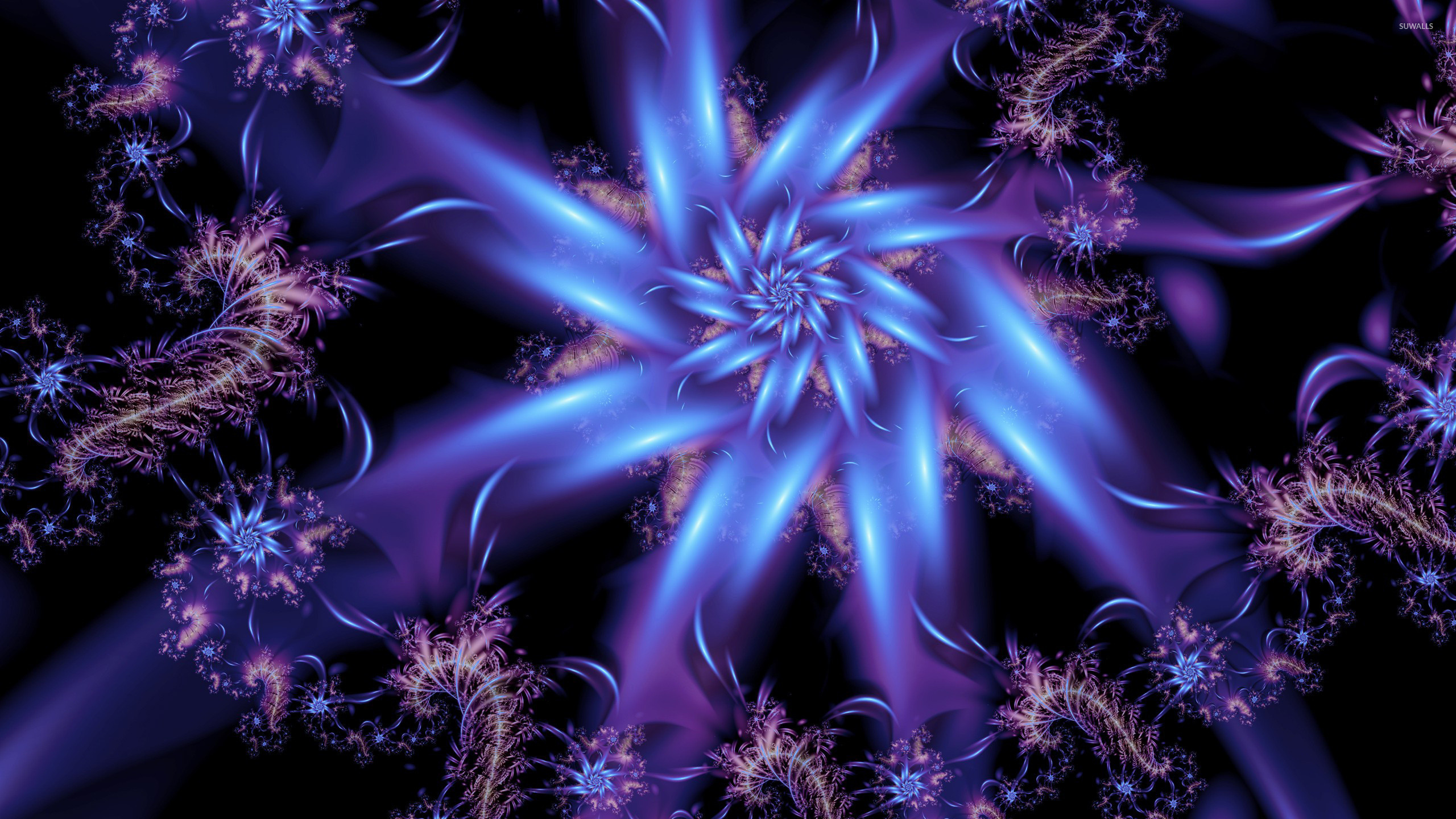 2560x1440 Purple fractal flower wallpaper  jpg