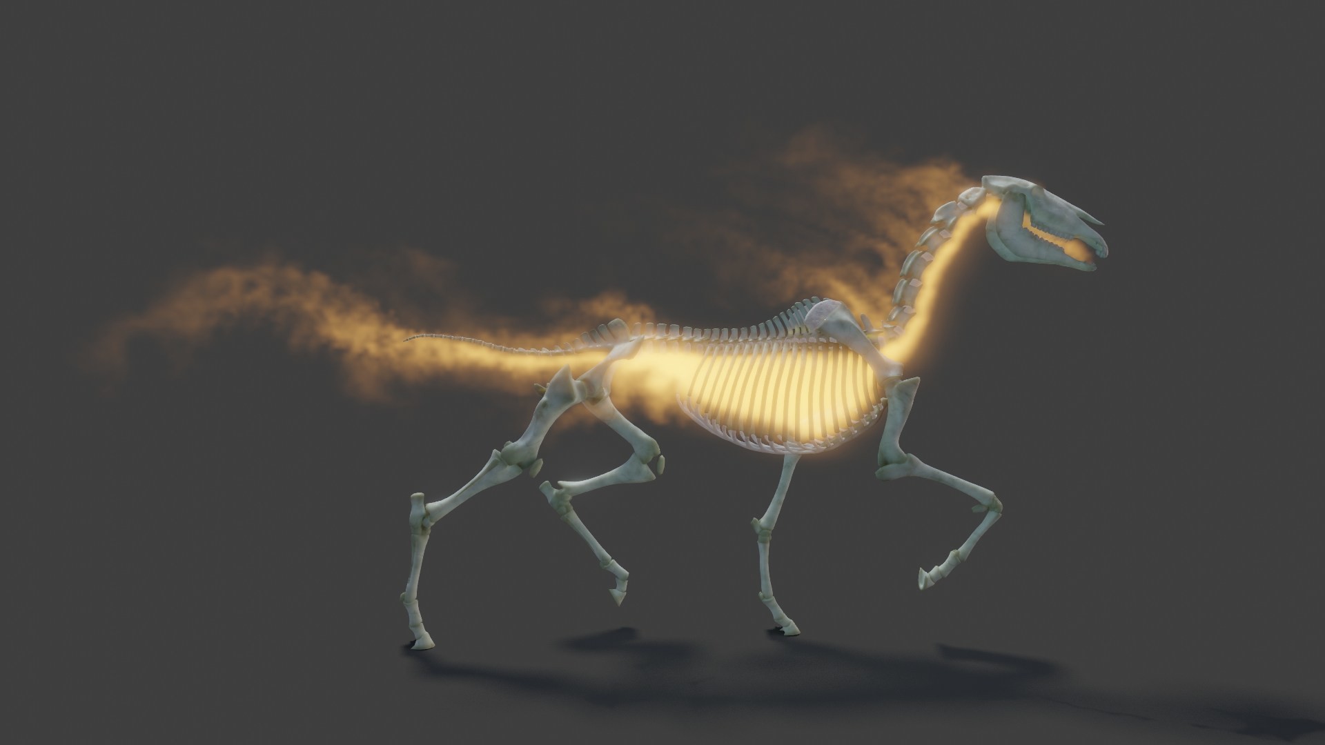 1920x1080 Behind the Scenes: Realistic Horse Skeleton