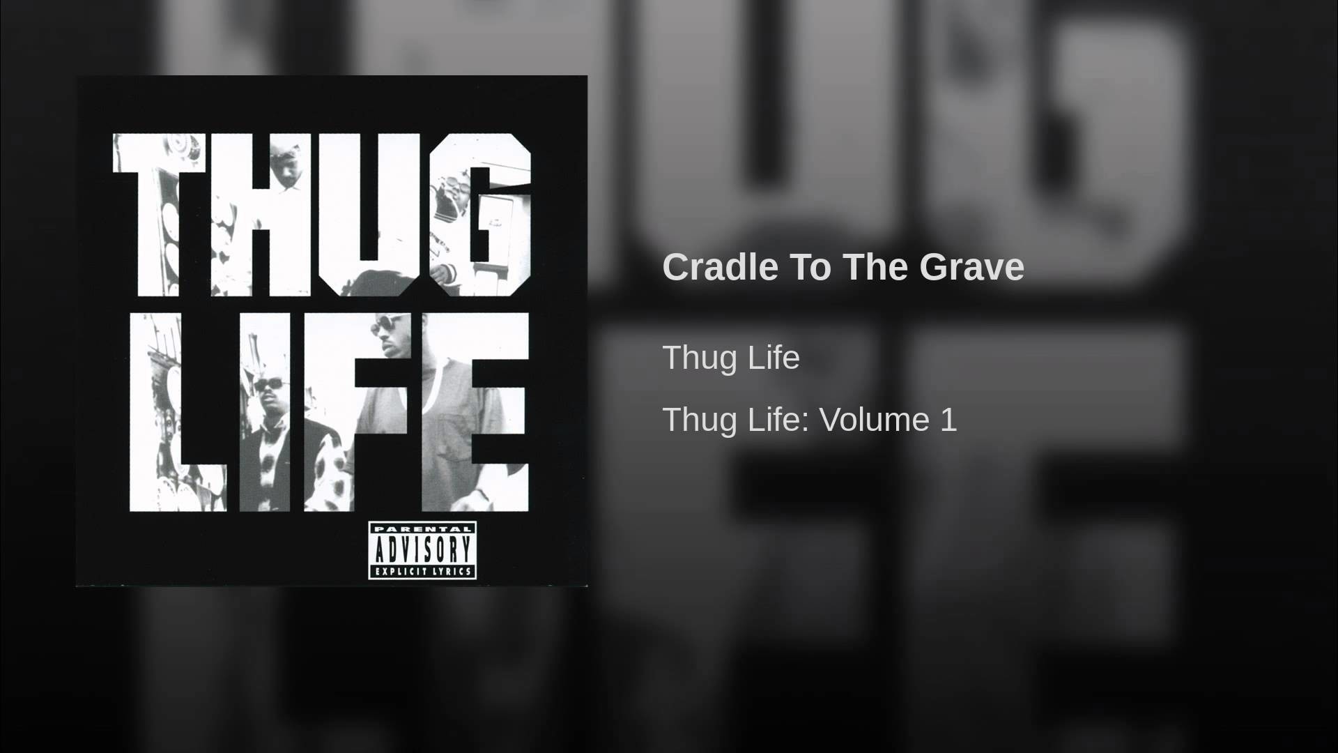 thug life street fame download torrent