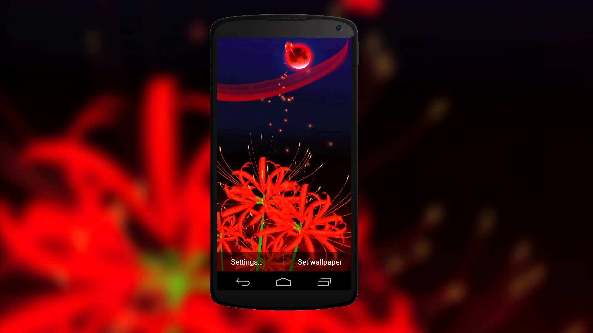 1920x1080 Gorgeous 3D Live Wallpaper of Red Butterflies & Red Spider Lily Flowers -  YouTube