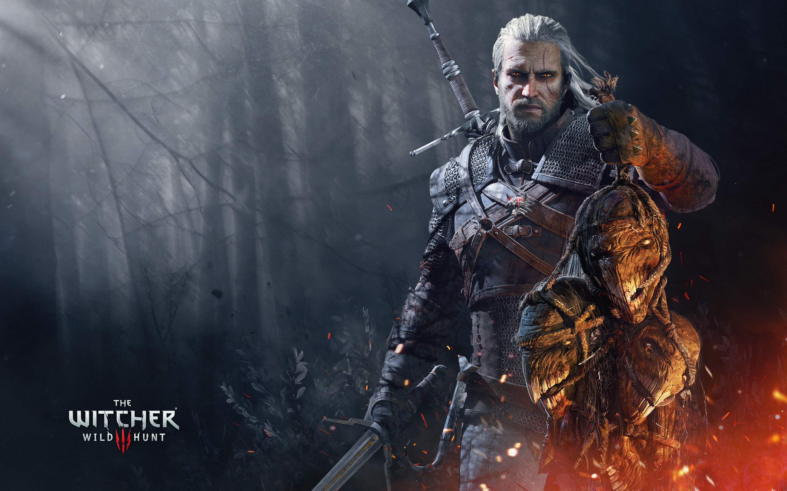 2560x1600 HD Wallpaper | Background ID:667676.  Video Game The Witcher ...