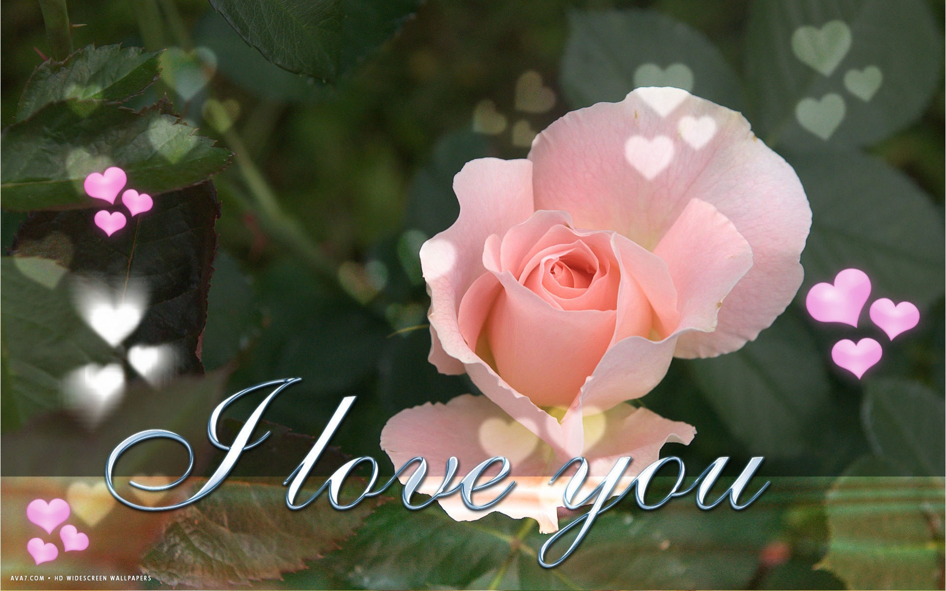 1920x1200 i love you text pink rose flower hearts hd widescreen wallpaper