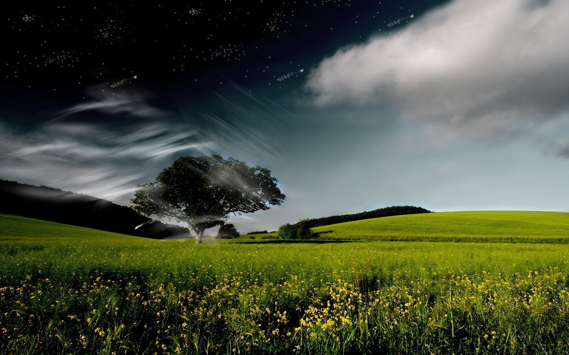 1920x1200 Wallpaper Tree, Sky, Clouds, Whirlwind, Day, Night, Stars HD, Picture, Image