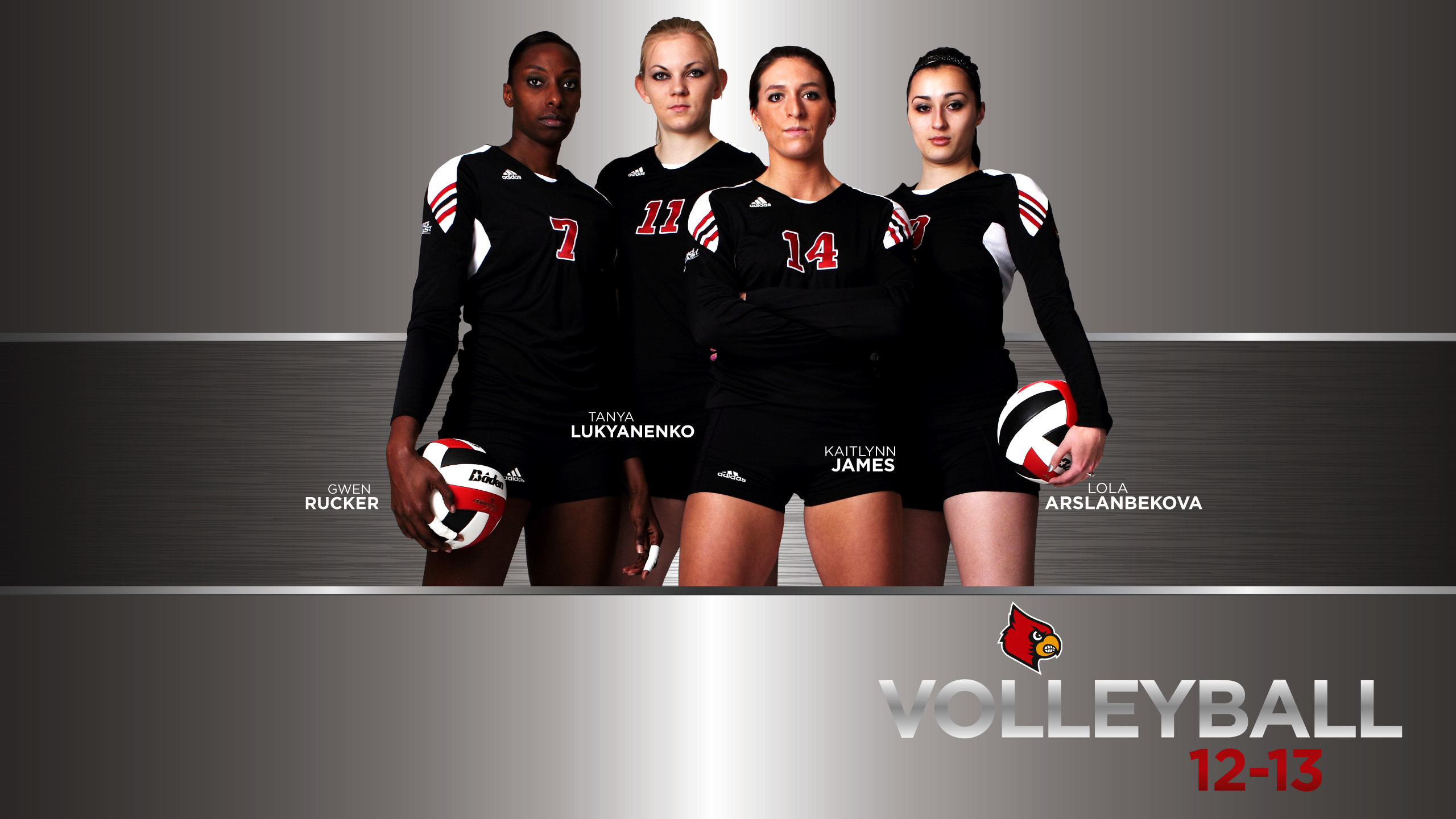 2560x1440 Volleyball