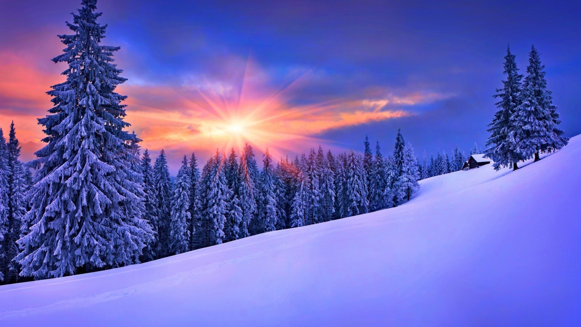 1920x1080 nature, Winter, Landscape, Snow Wallpapers HD / Desktop and Mobile  Backgrounds