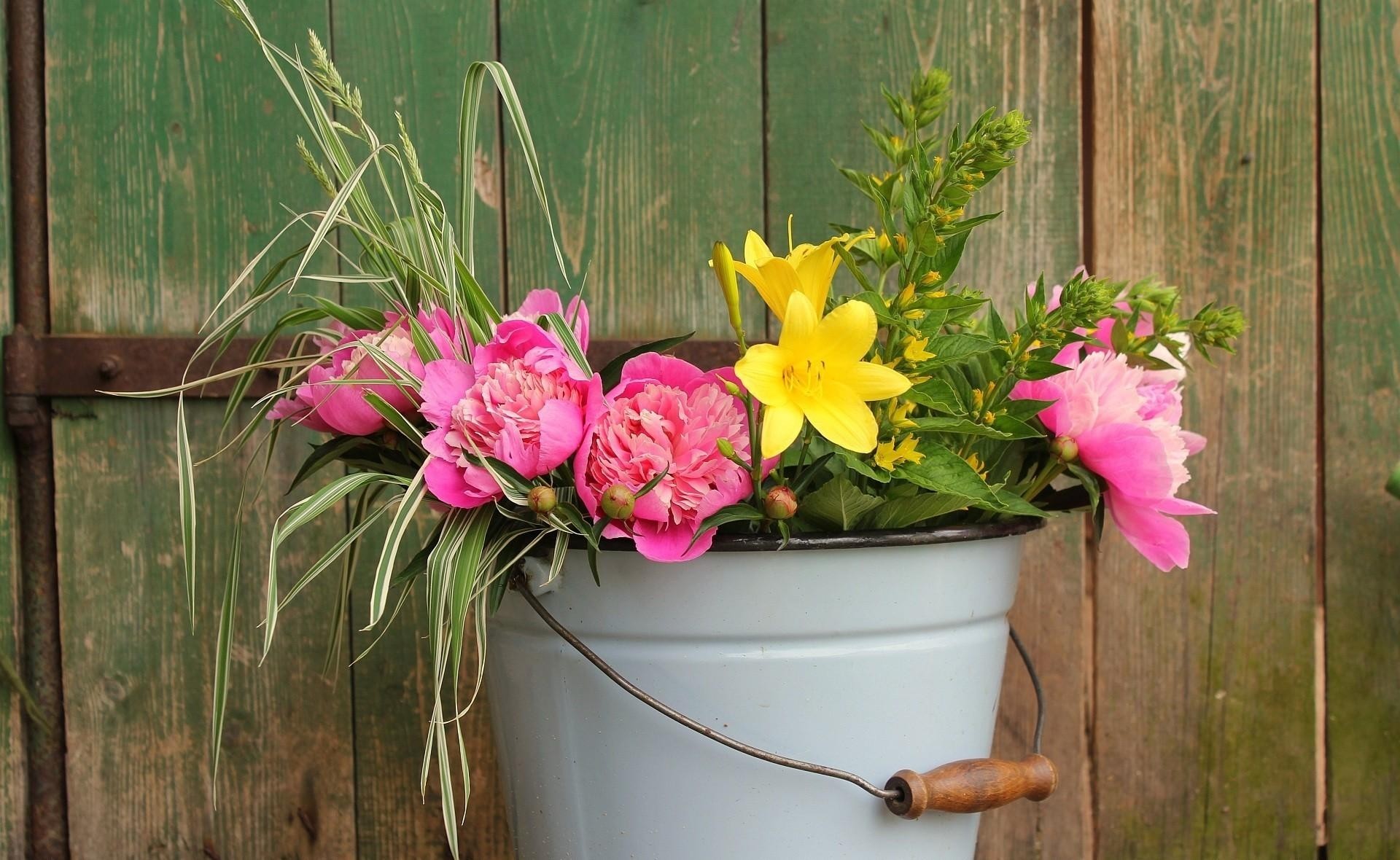 1920x1180 Wallpaper Peonies, Lilies, Flowers, Bucket, Greens, Fence HD, Picture, Image