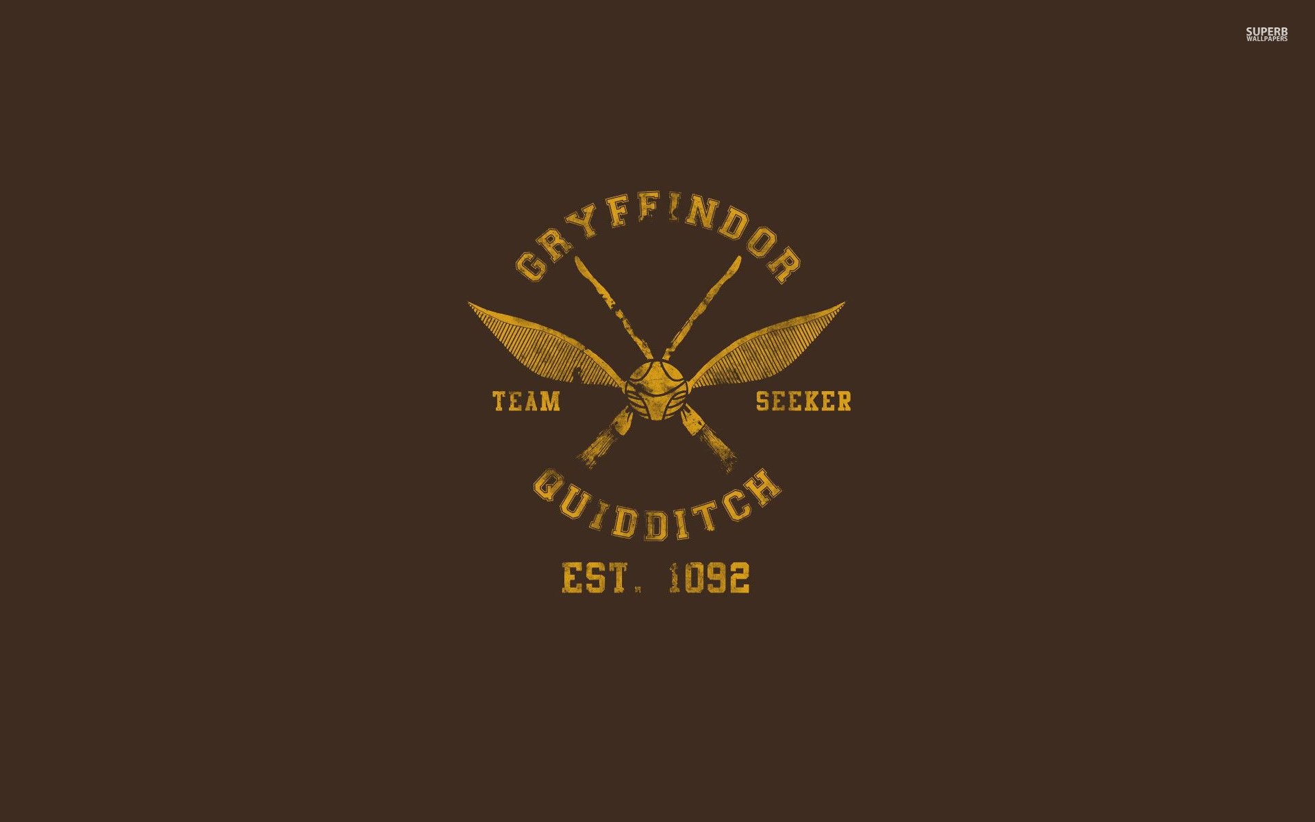 1920x1200 Gryffindor Quidditch Team ...