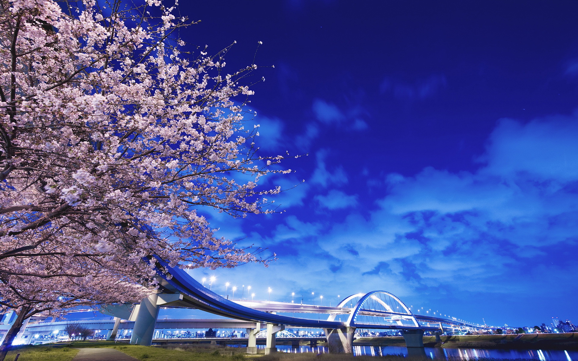 1920x1200 Brooklyn Bridge, desktop wallpapers free Cherry blossoms, Japan ...