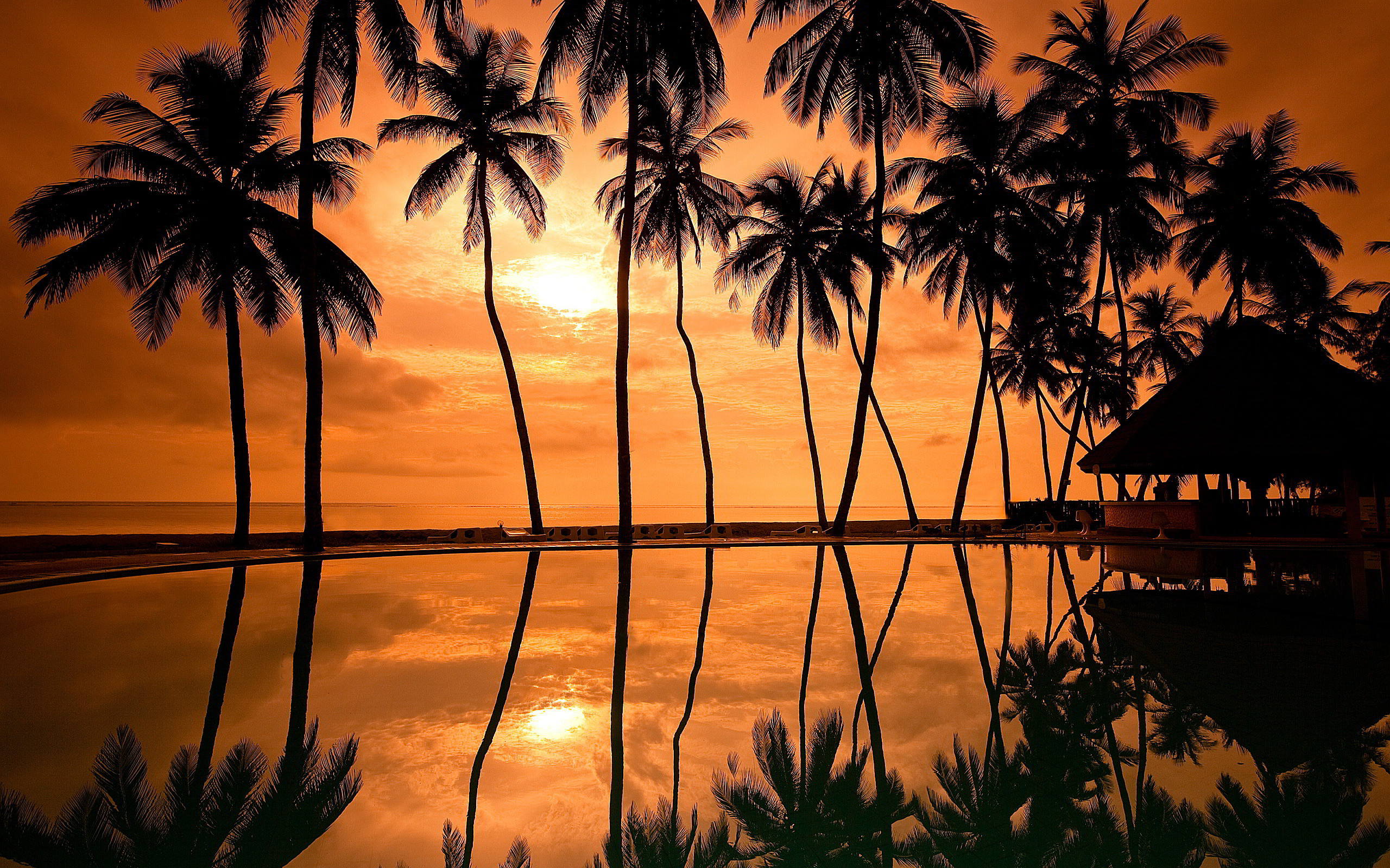 2560x1600 Sunset Hawaii Beach Wallpaper