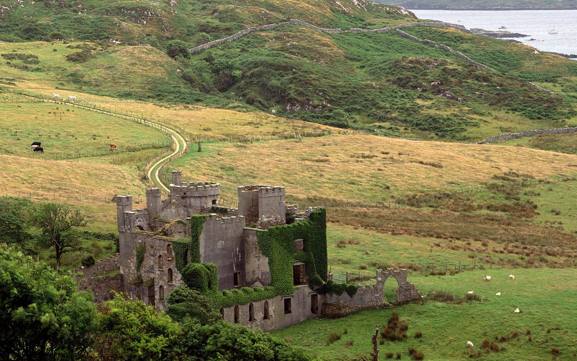 1920x1200 Famous Irish Castle Wallpaper - Viewing Gallery