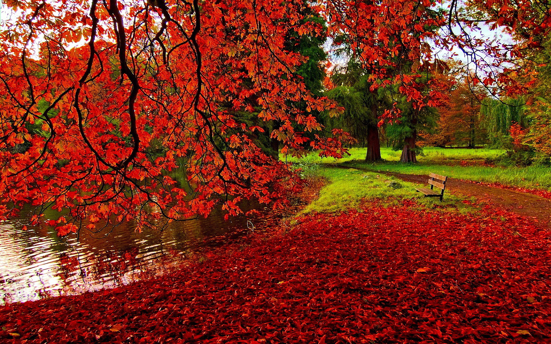 1920x1200 Fall Backgrounds 18173