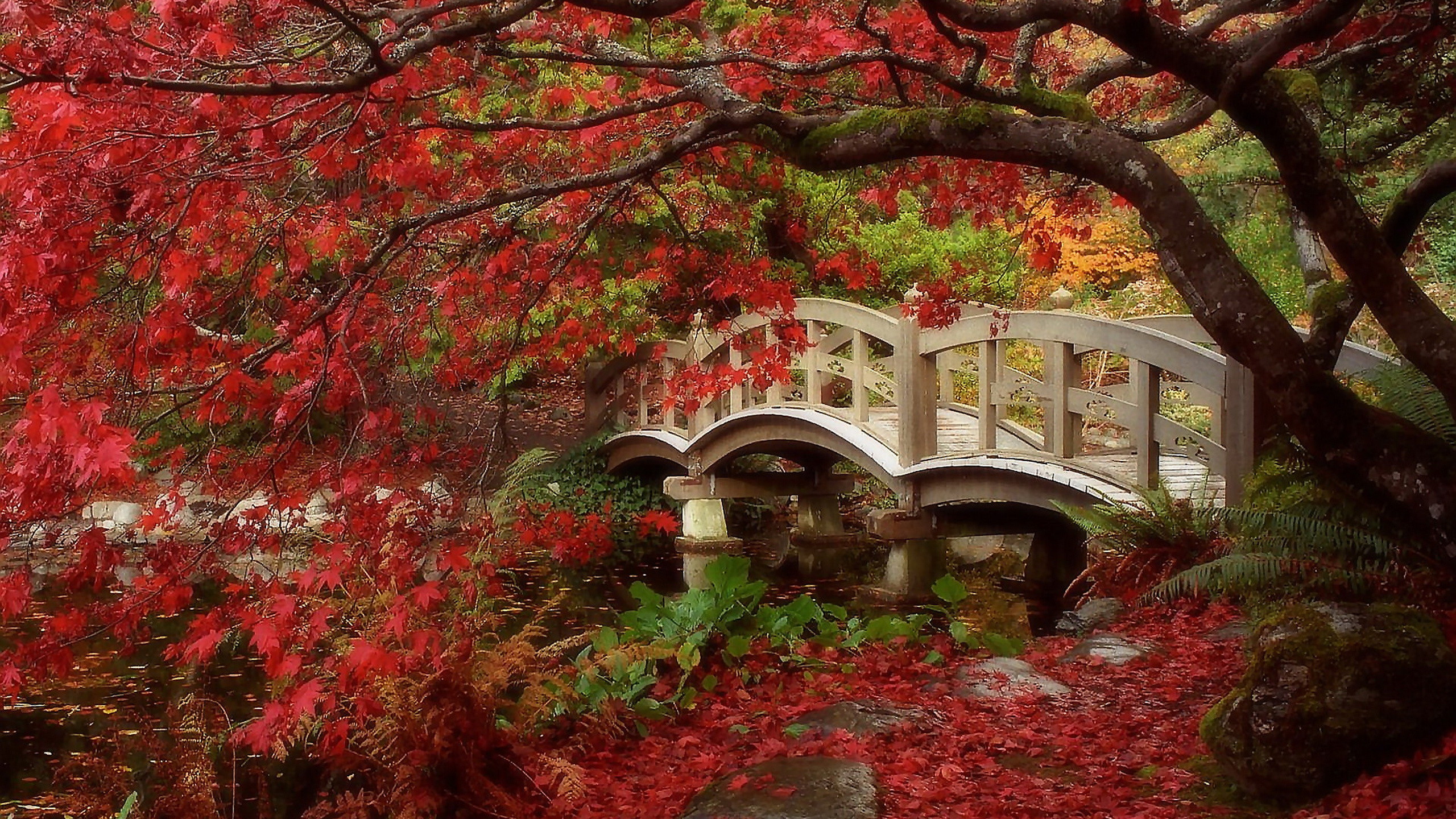 2560x1440 HD Wallpaper | Background ID:530227.  Man Made Japanese Garden