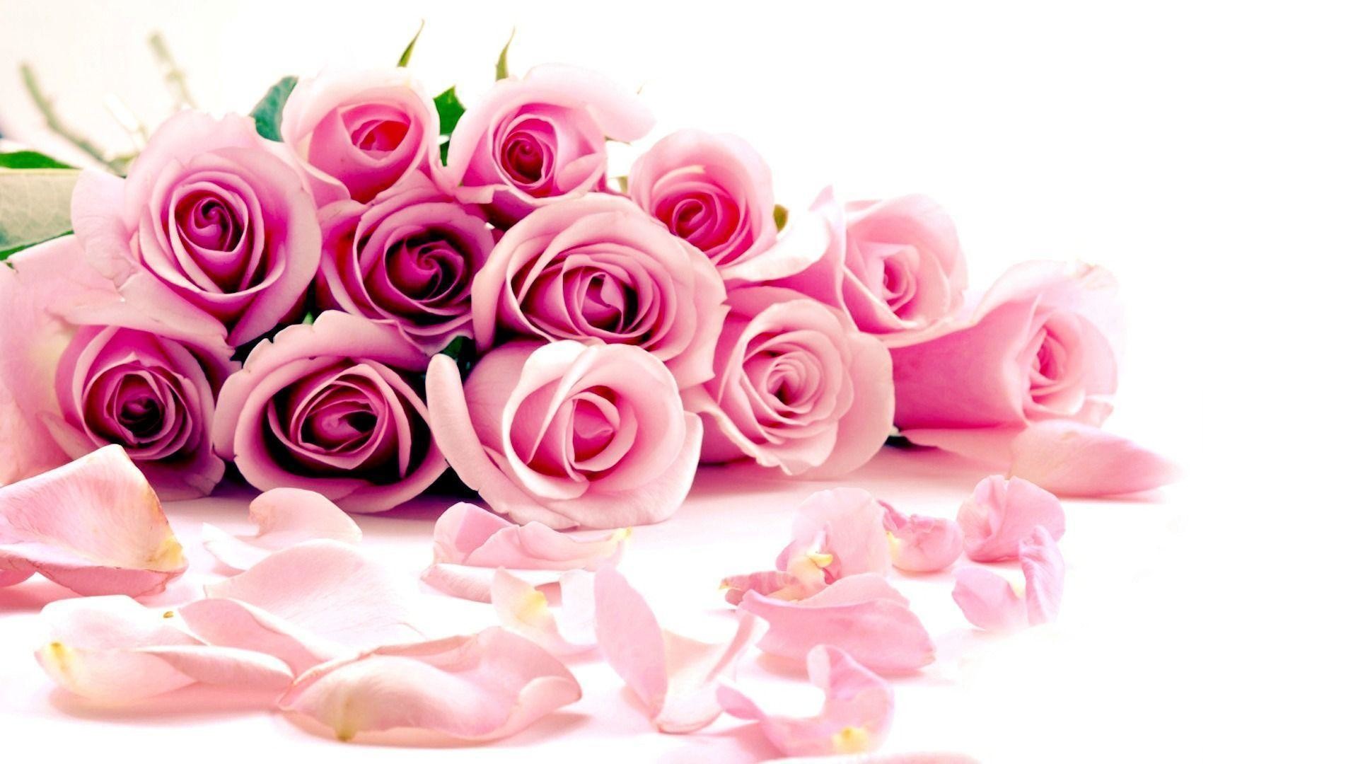 1920x1080 Flowers For > Pink Roses Backgrounds