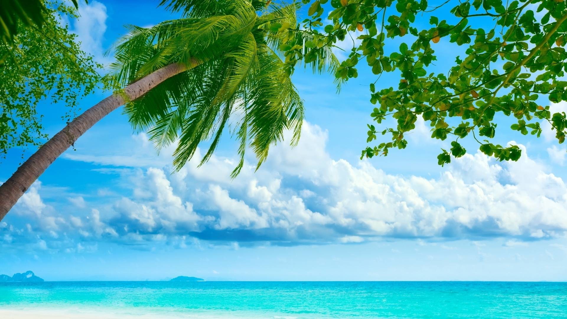 1920x1080  Cool Summer Blue Sea Coconut Desktop Backgrounds.