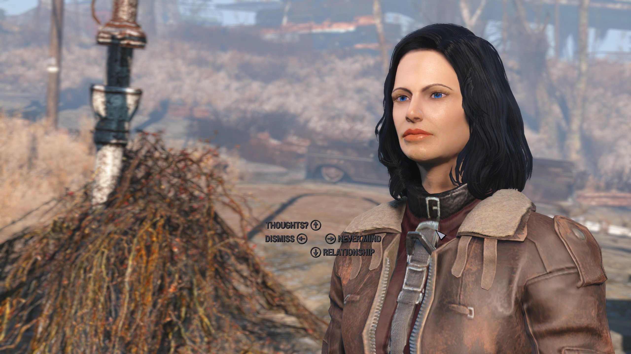 Will fallout 4 be for mac фото 47
