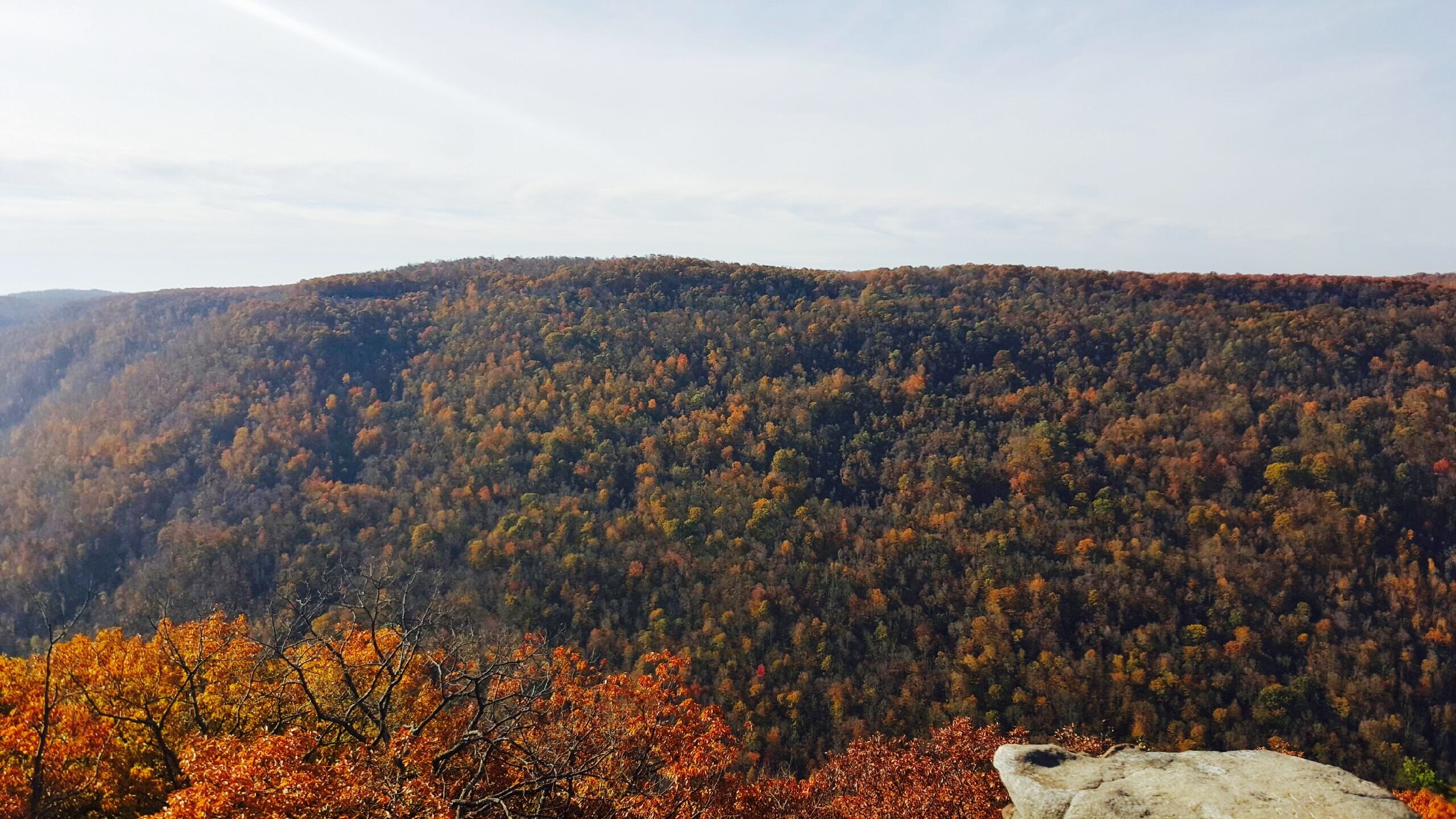 2560x1440 Fall foliage season winds down in West Virginia - WVU Football, WVU  Basketball, News - Mountaineer Sports