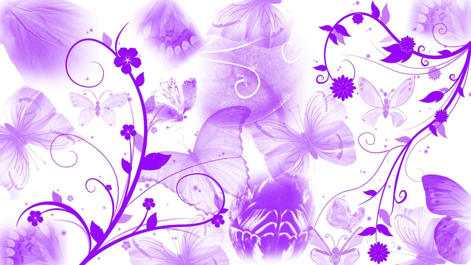1920x1080 Flowers and butterflies