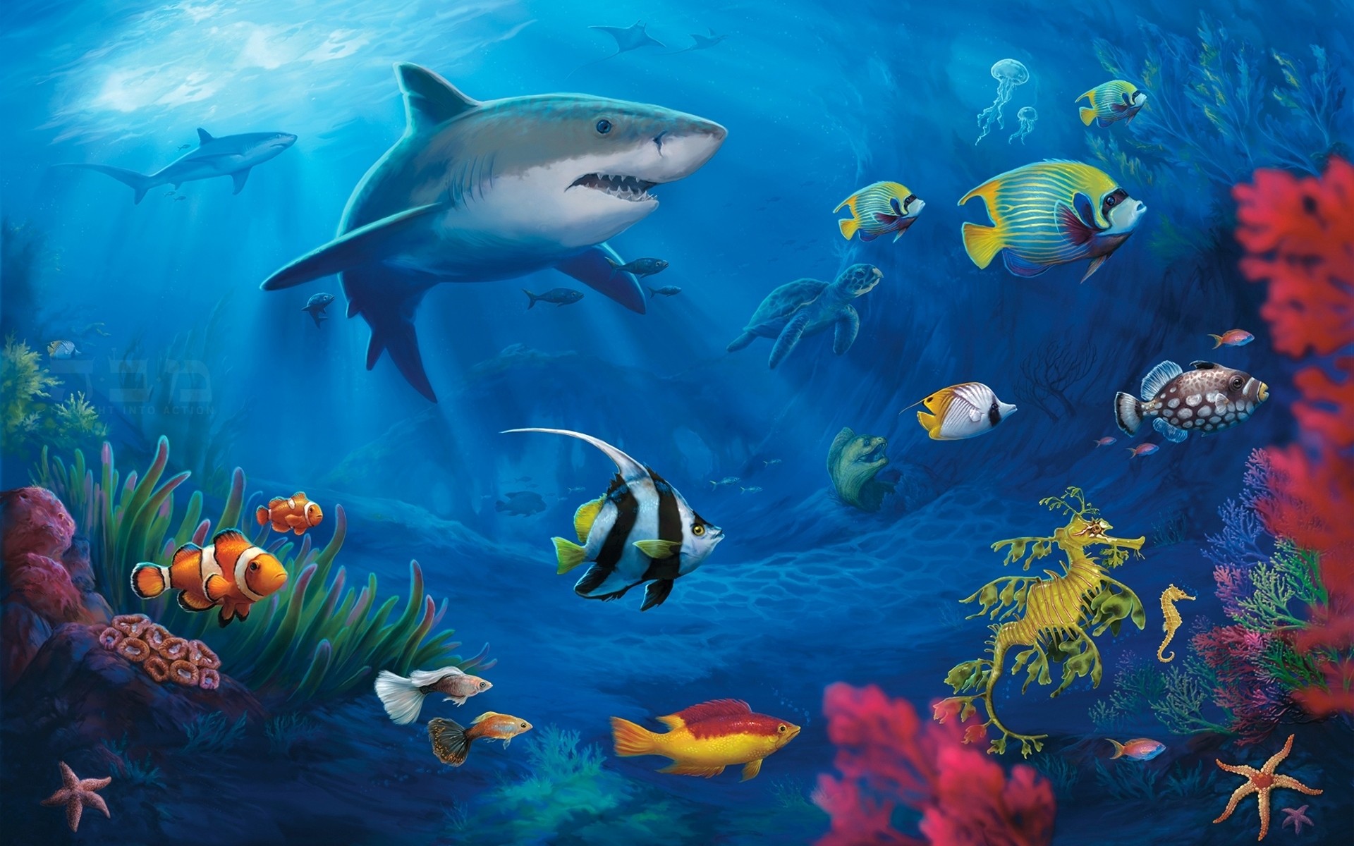 1920x1200 fish wallpaper underwater download. Â«Â«