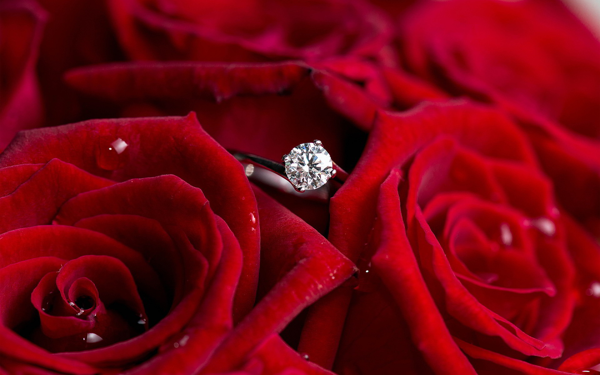1920x1200 Diamond ring red roses
