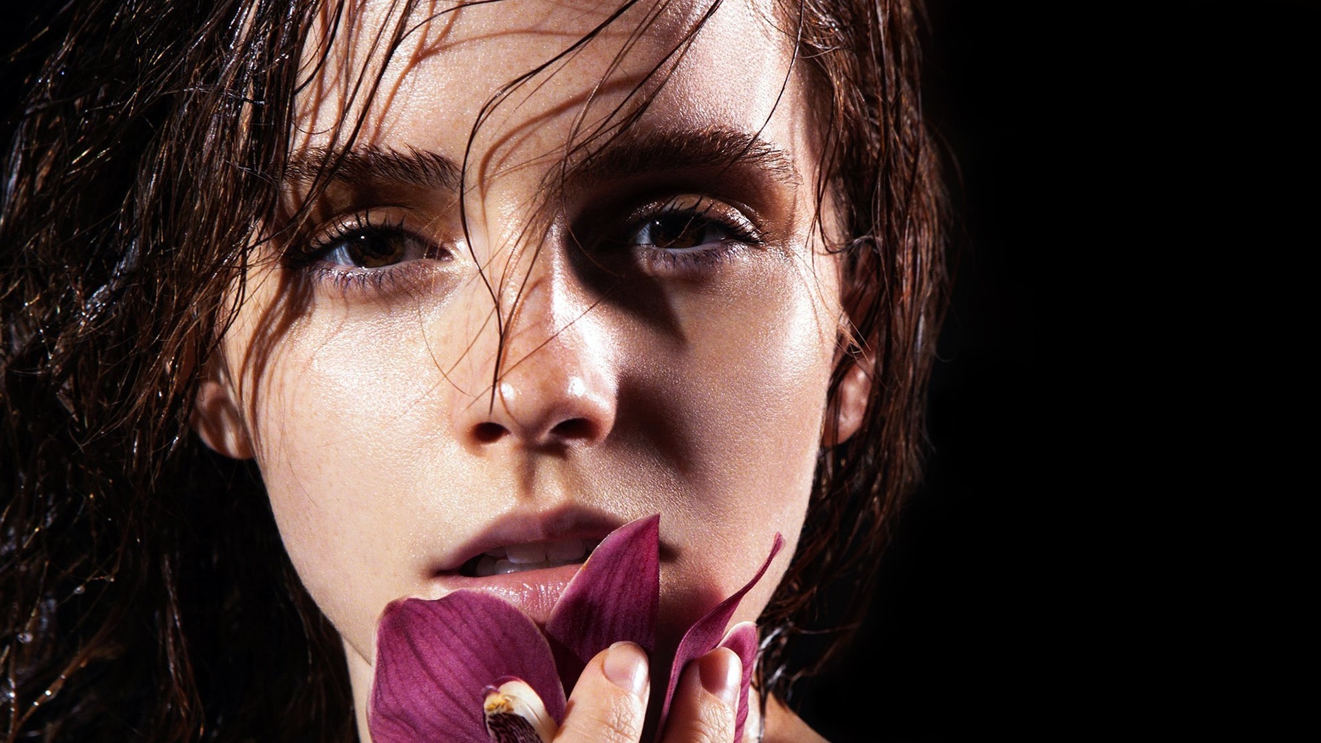 Emma Watson Beauty-photo HD Desktop Wallpaper Preview | 10wallpaper.com