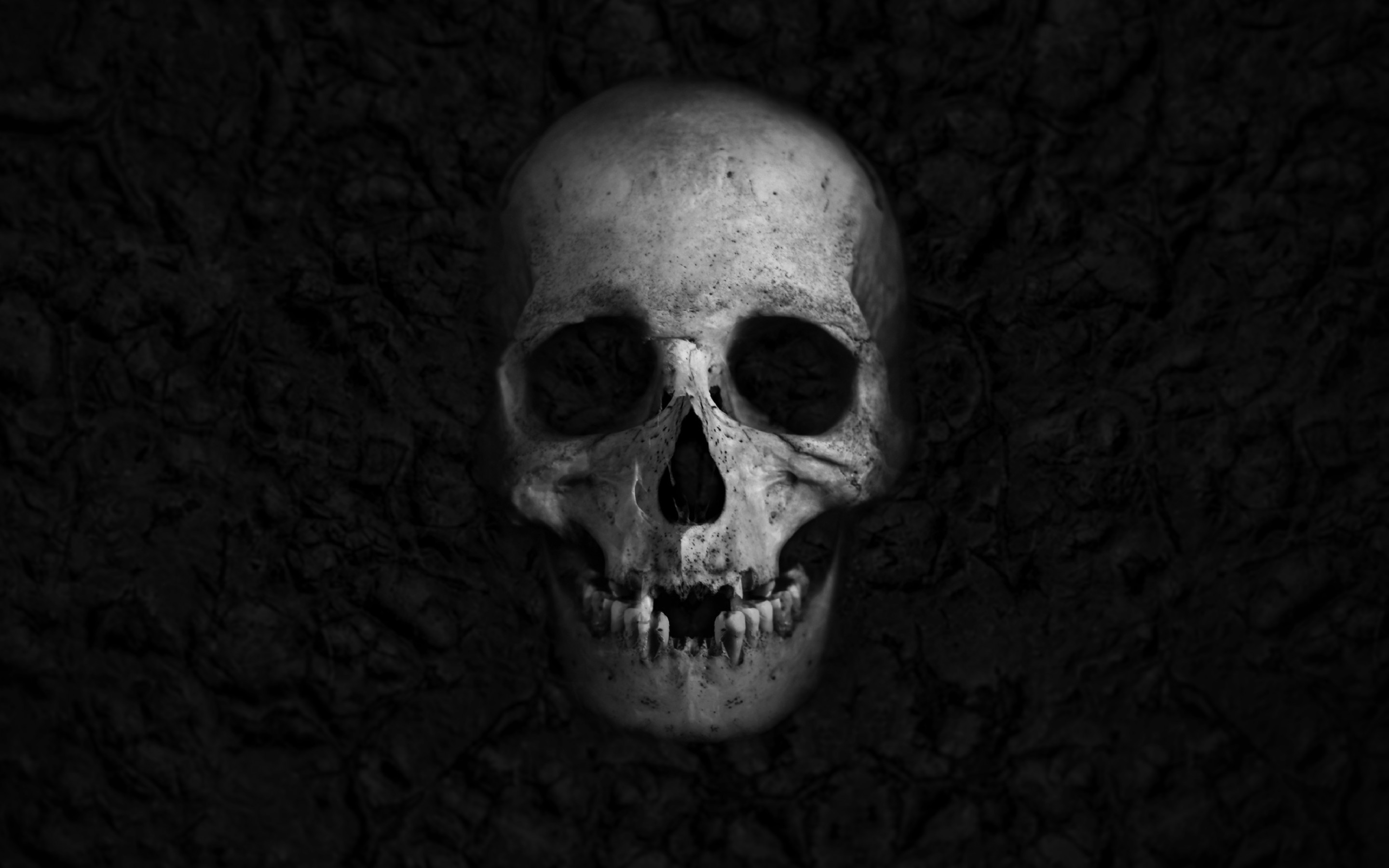 2880x1800 Others / Skull Wallpaper
