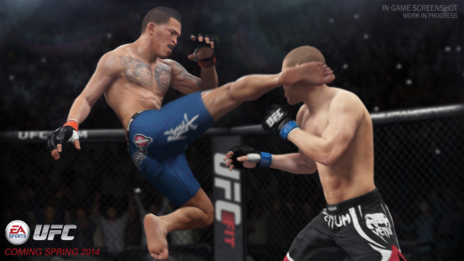 1920x1080 1 EA Sports UFC HD Wallpapers | Backgrounds - Wallpaper Abyss ...