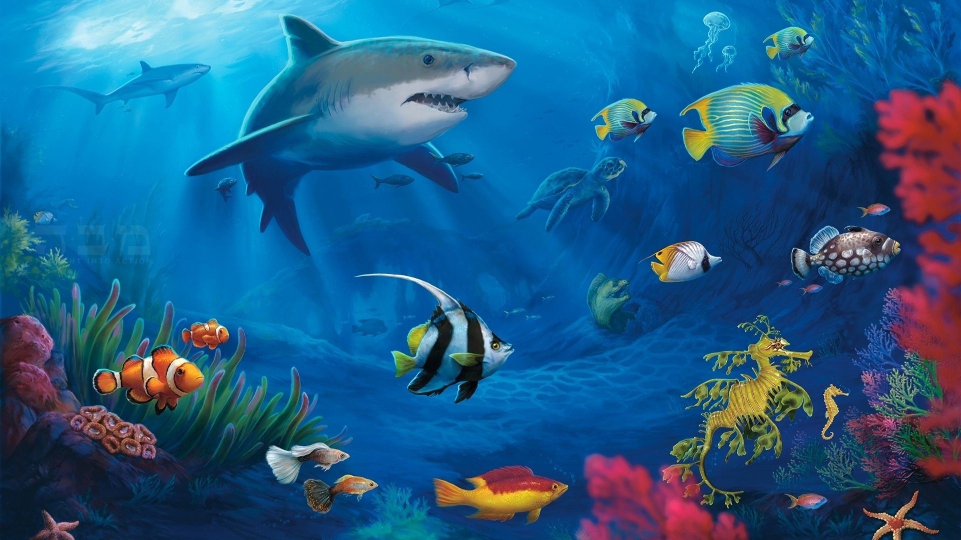 1920x1080 Fish Live Wallpaper For PC . More