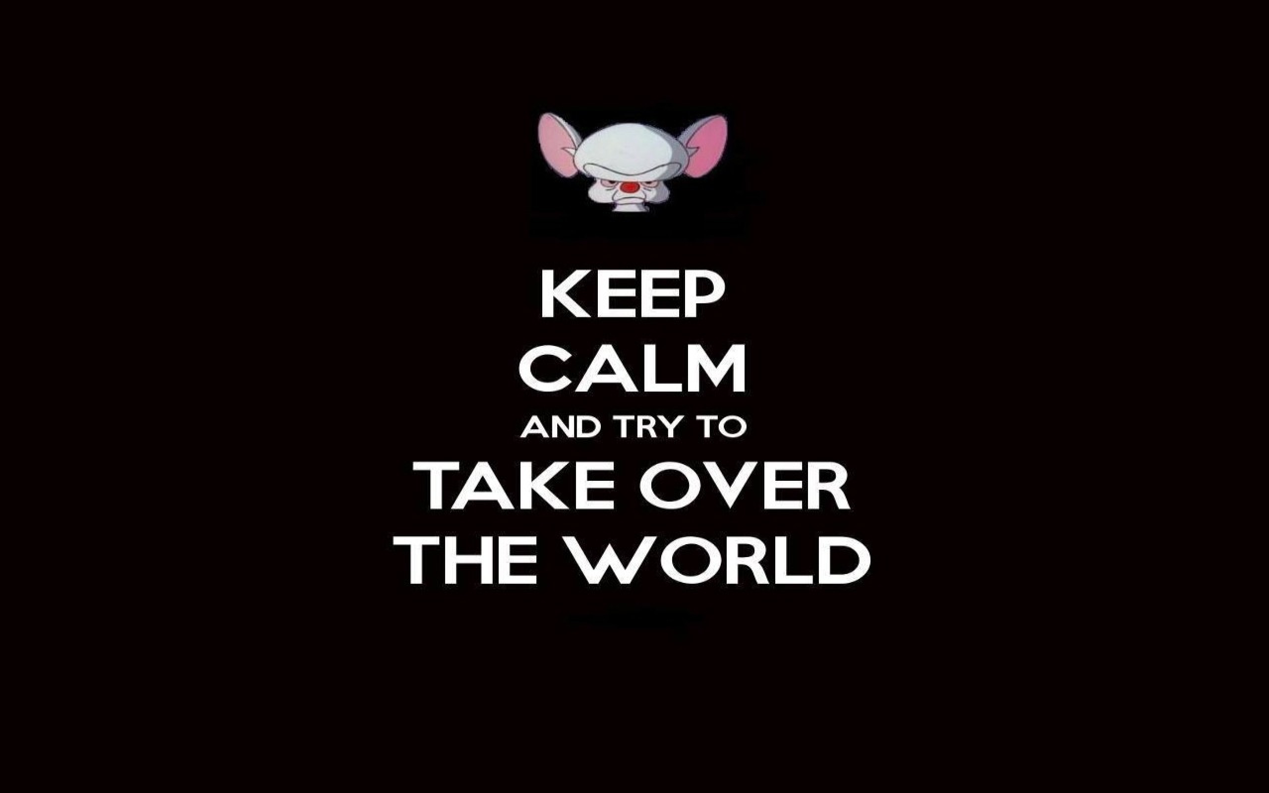 2560x1600 pinky and the brain keep calm and 1280x800 wallpaper Art HD Wallpaper