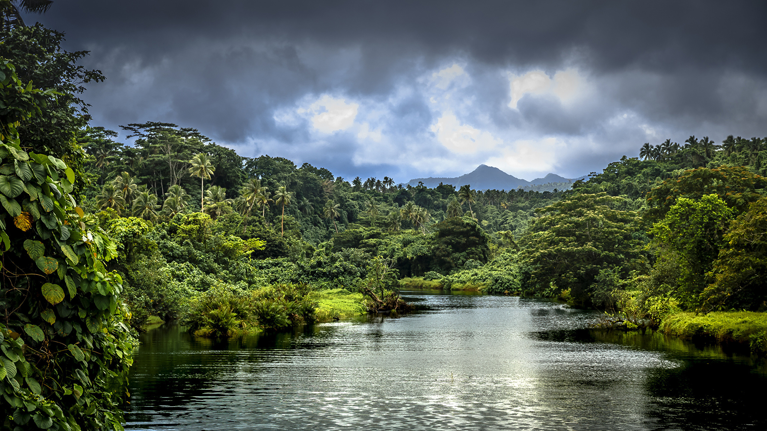 2560x1440 Hintergrundbilder Samoa Natur Tropen WÃ¤lder Flusse Wolke 